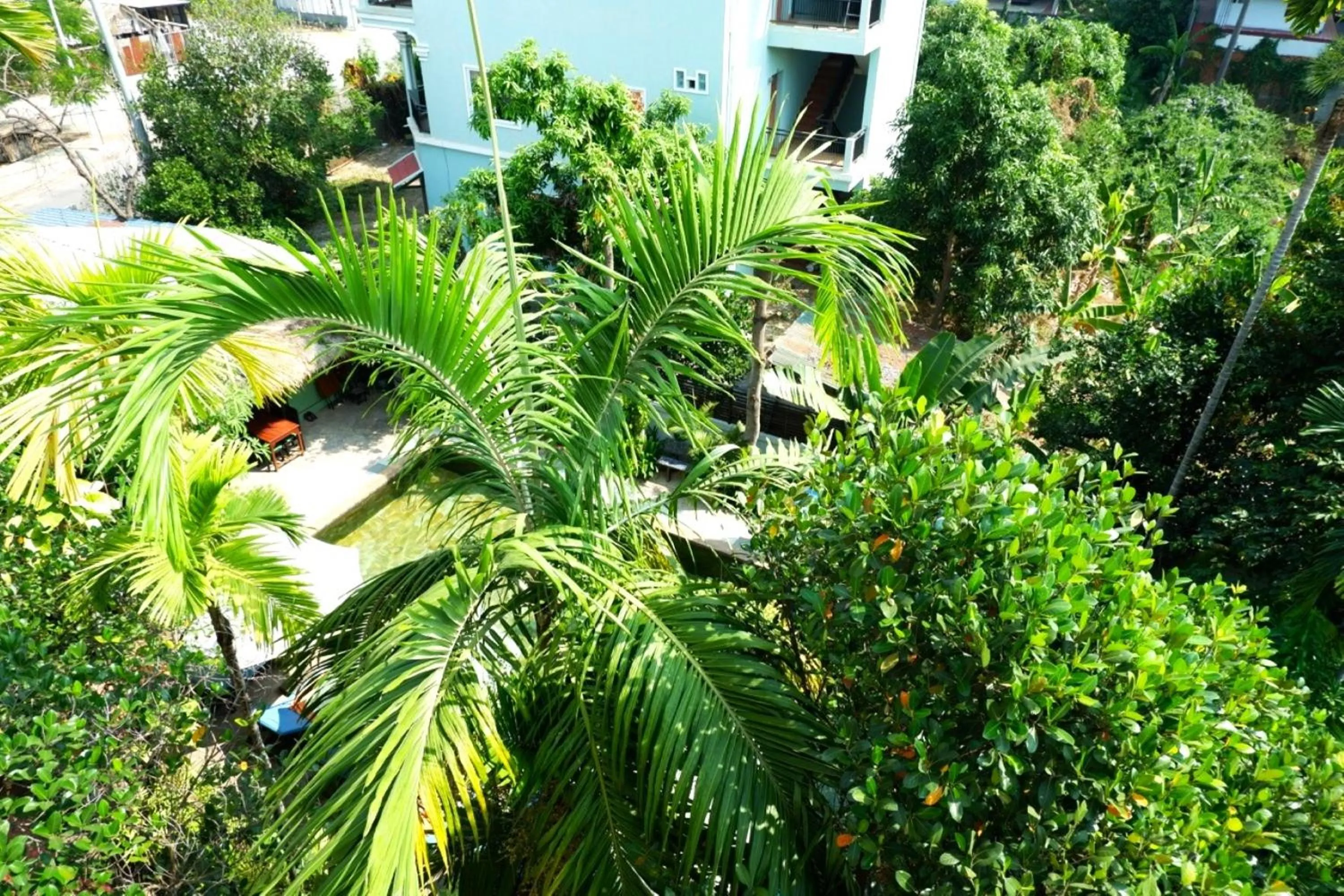 Garden view in Nary Villa