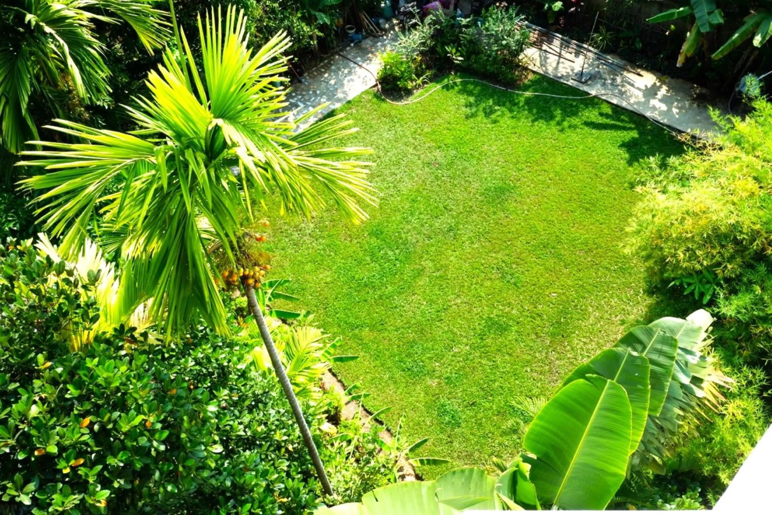 Garden in Nary Villa
