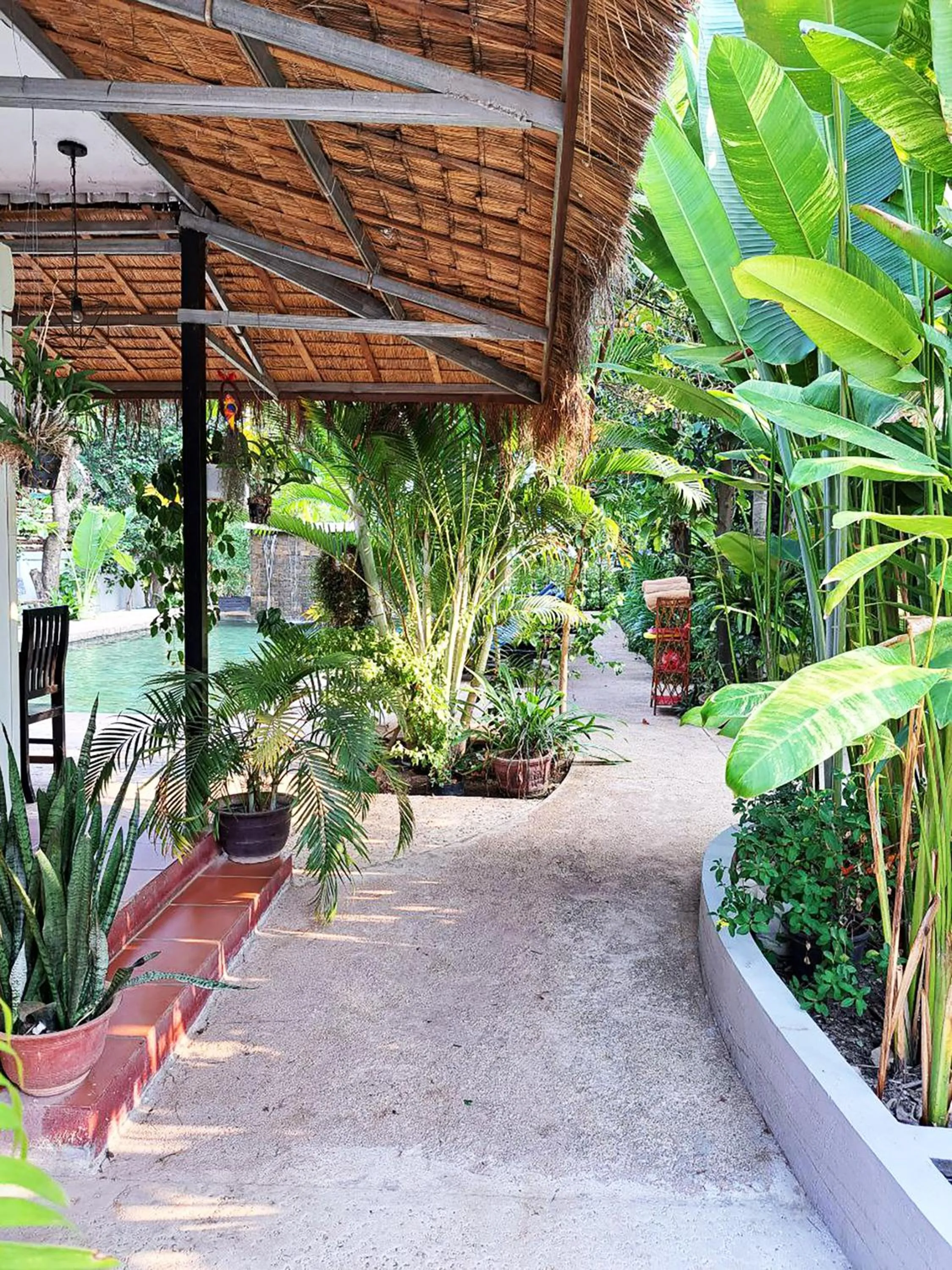 Garden in Nary Villa