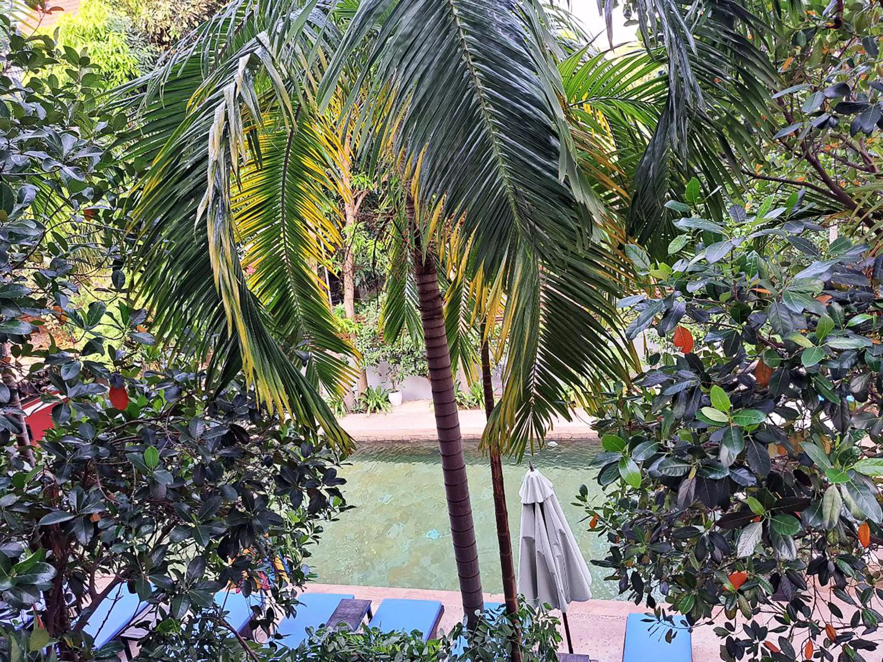 View (from property/room) in Nary Villa