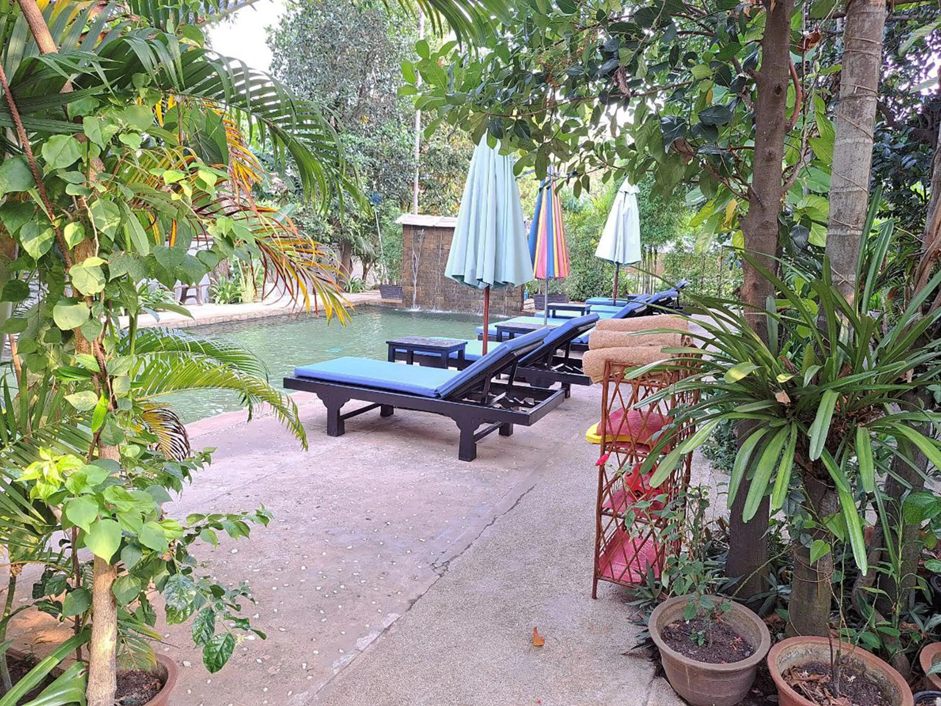 Swimming pool in Nary Villa