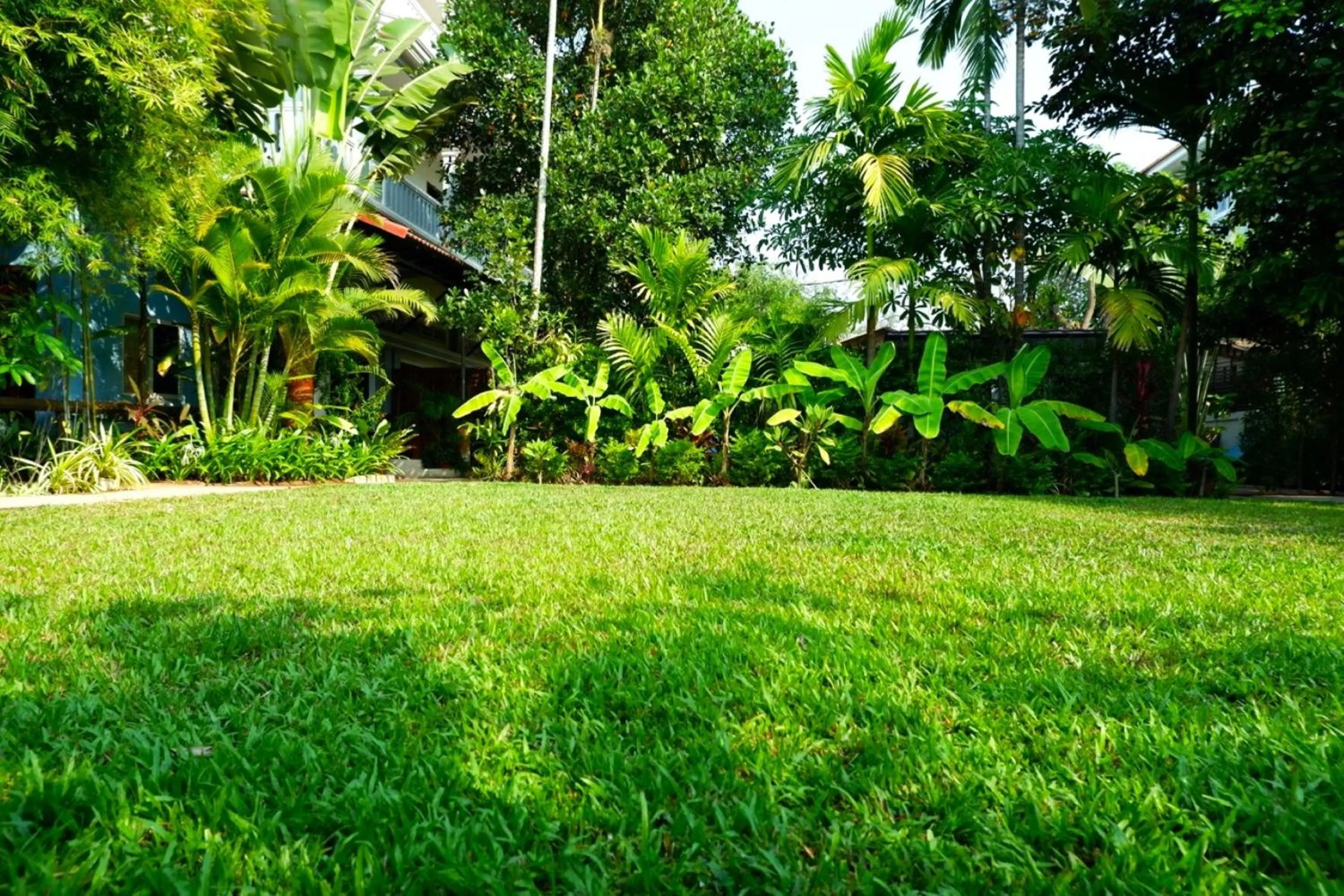 Garden in Nary Villa