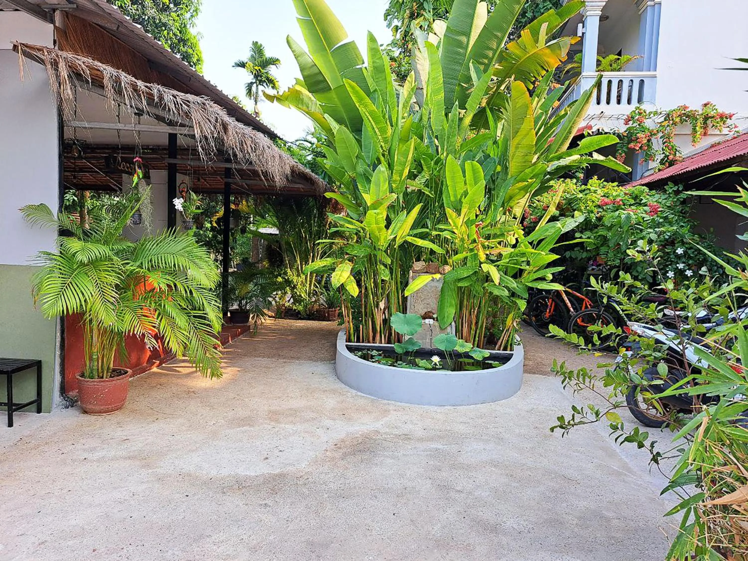 Garden in Nary Villa