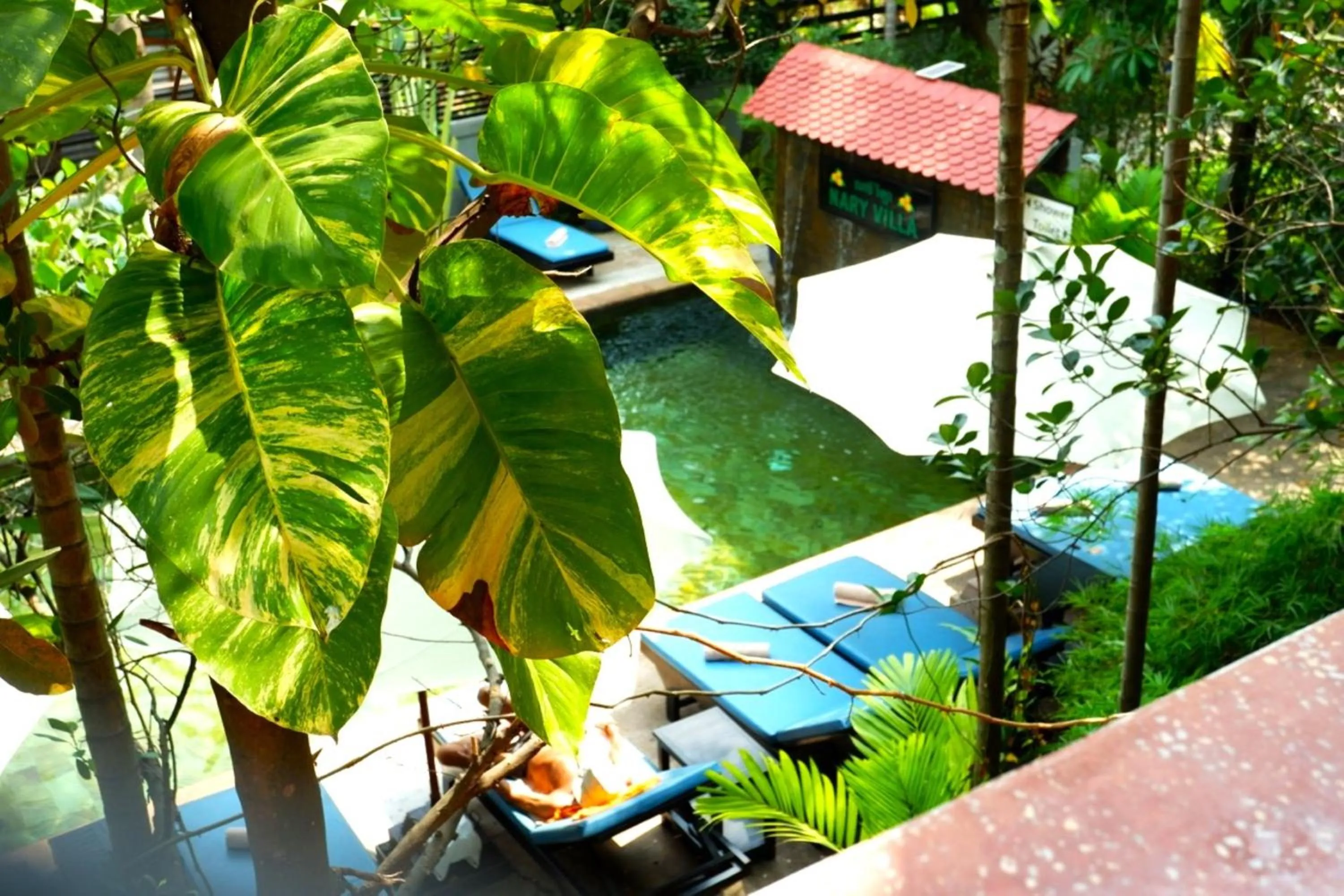 Garden in Nary Villa