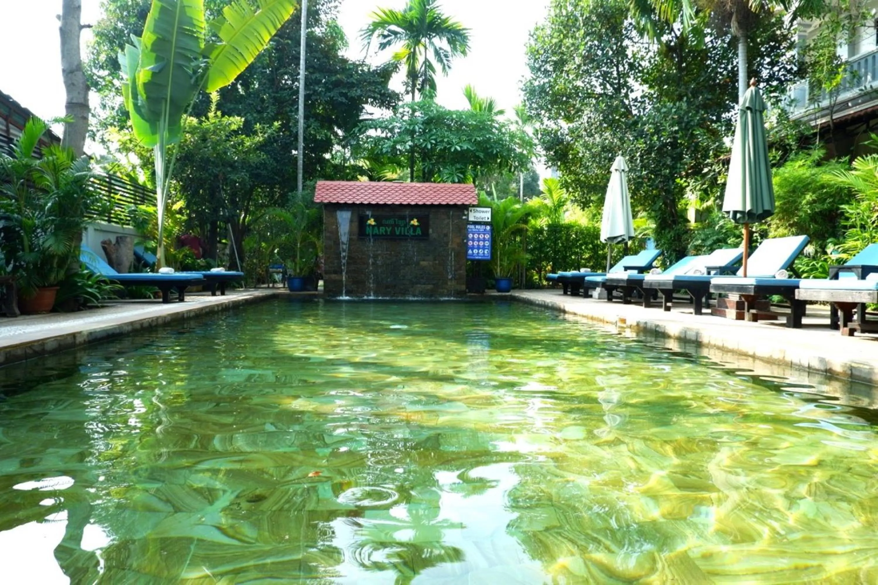 Swimming pool in Nary Villa