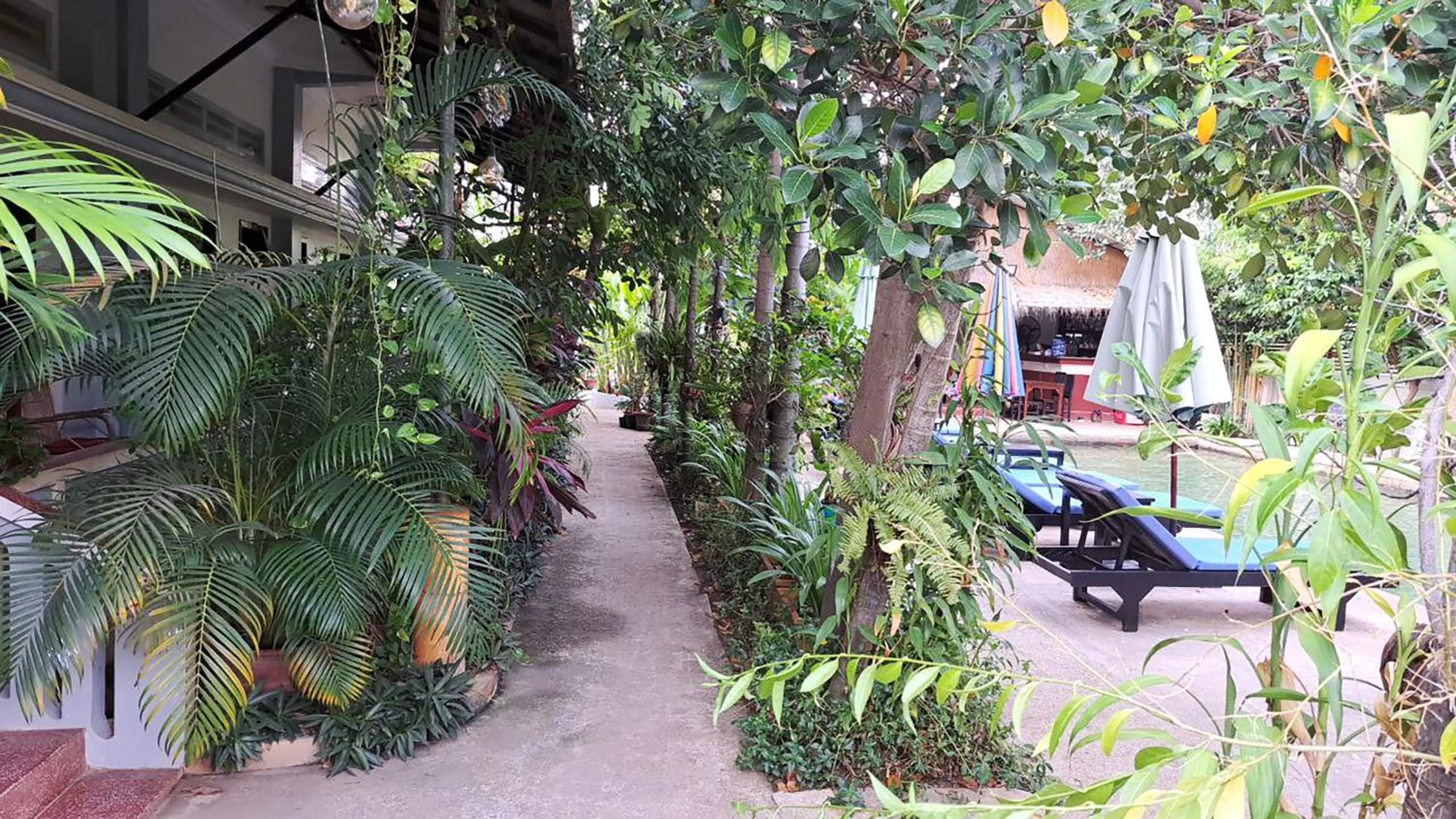 Garden in Nary Villa