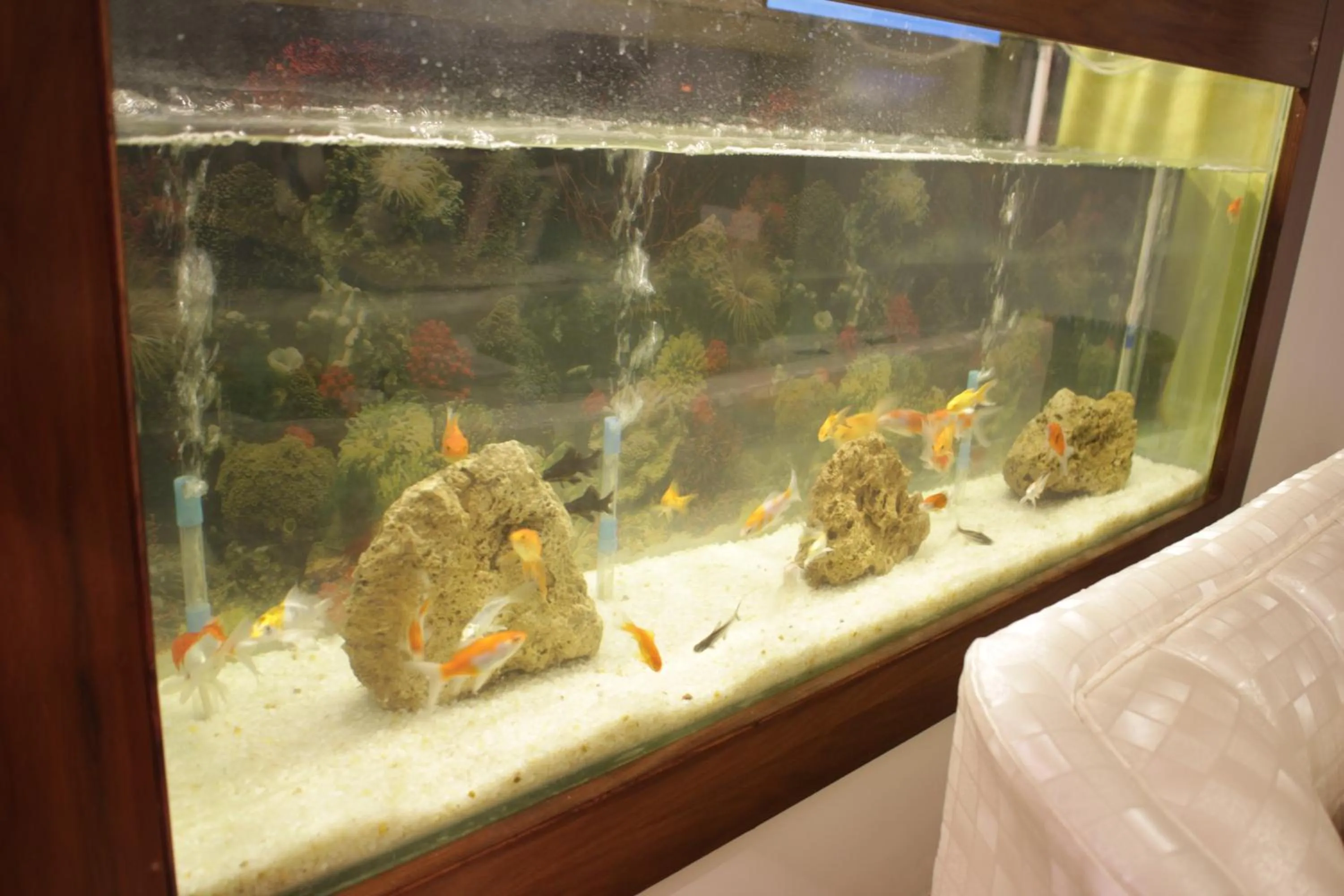 Decorative detail in Hilton Suites Lahore