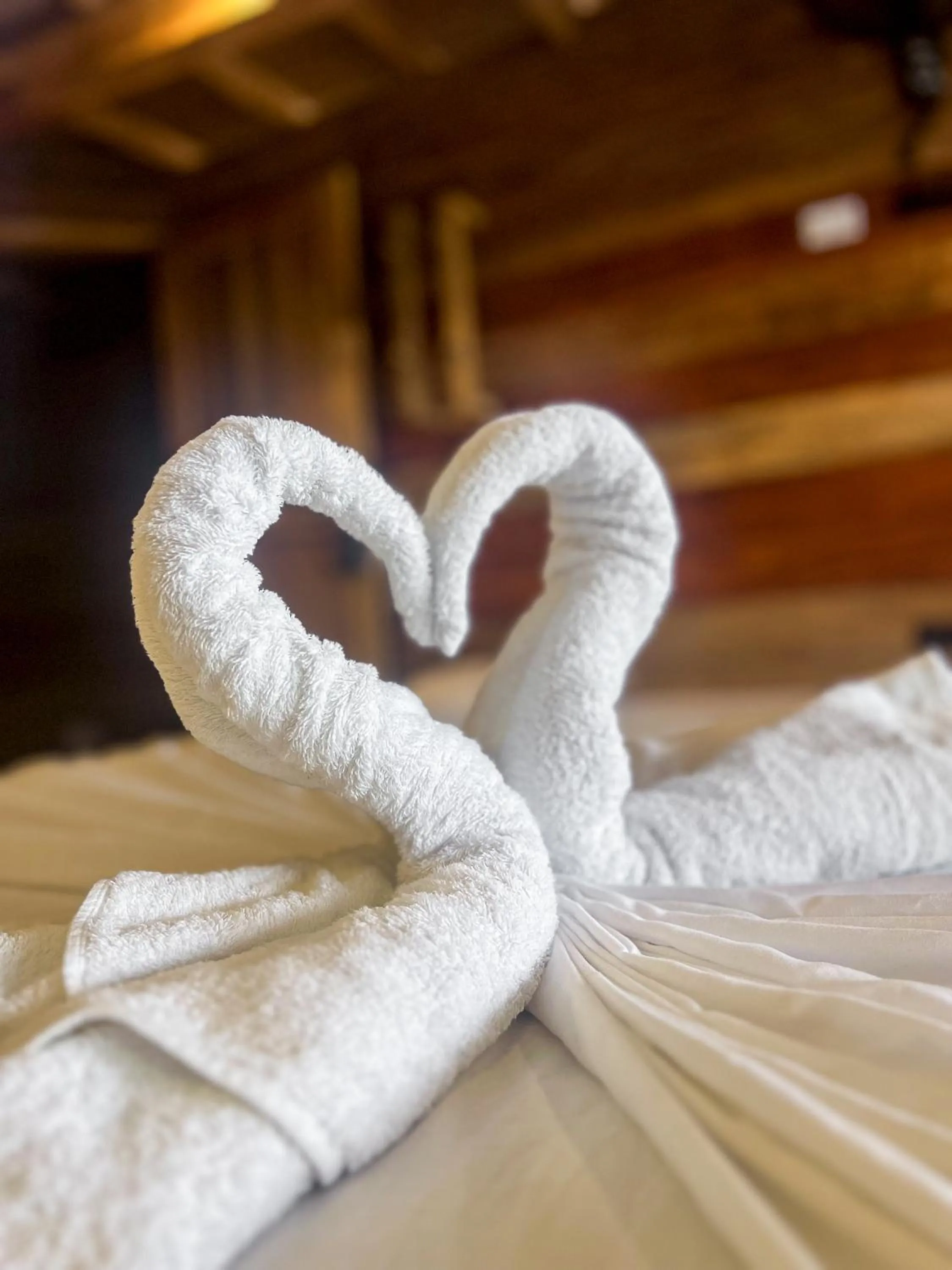 Bed in Hostal MOCAMBO BEACH