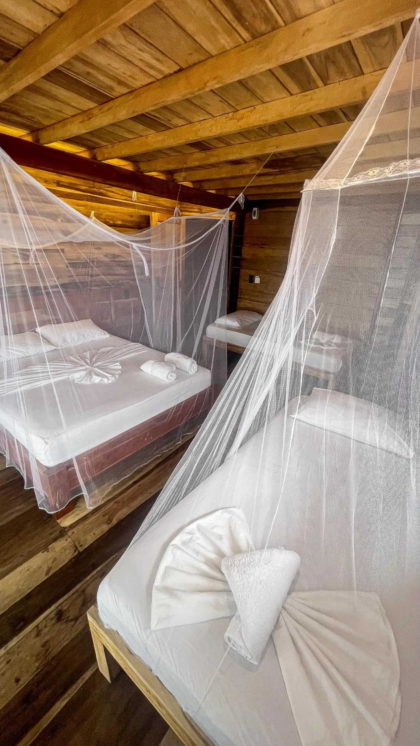 Bed in Hostal MOCAMBO BEACH