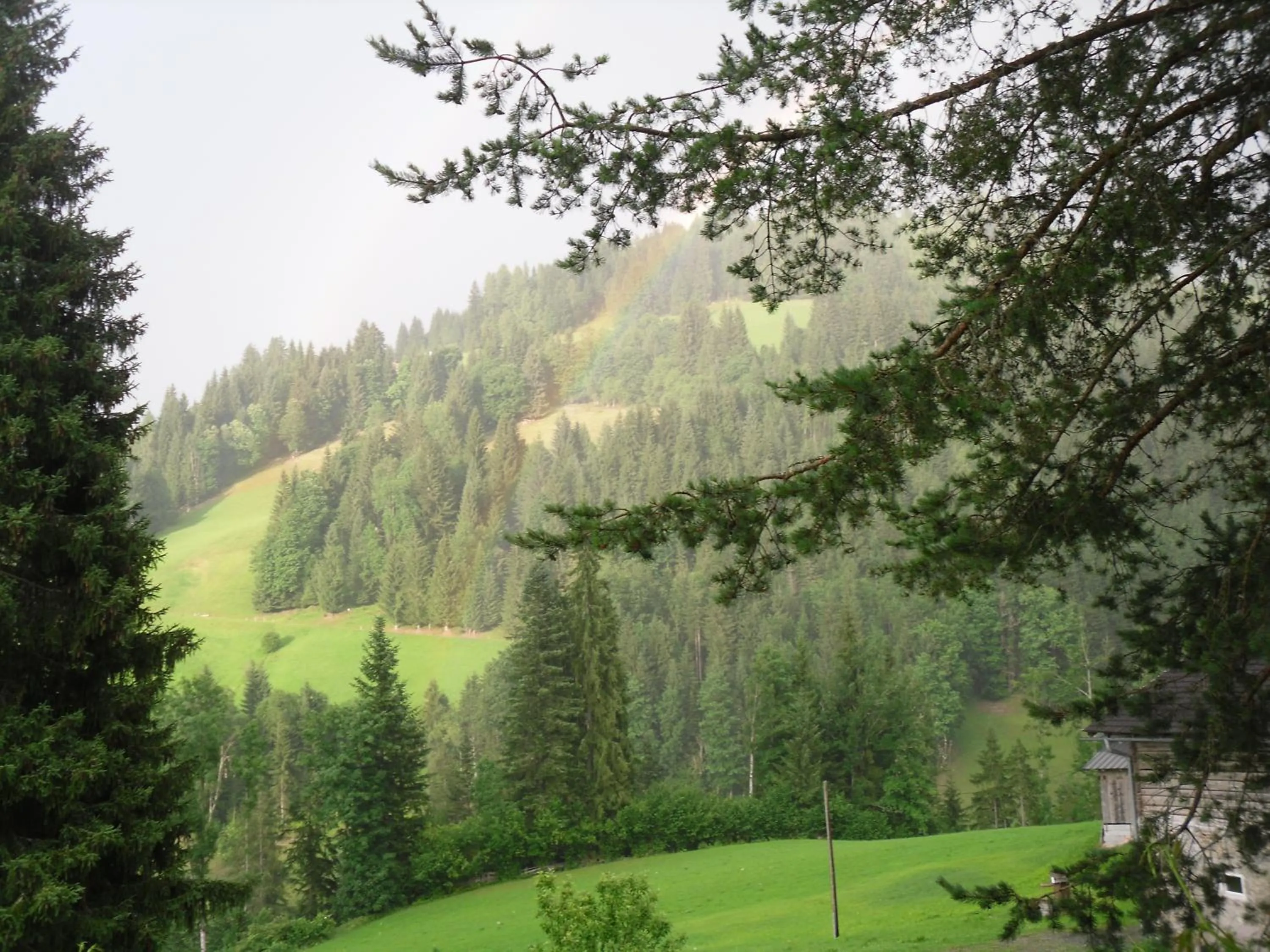 Natural landscape in Vorderwiesgut
