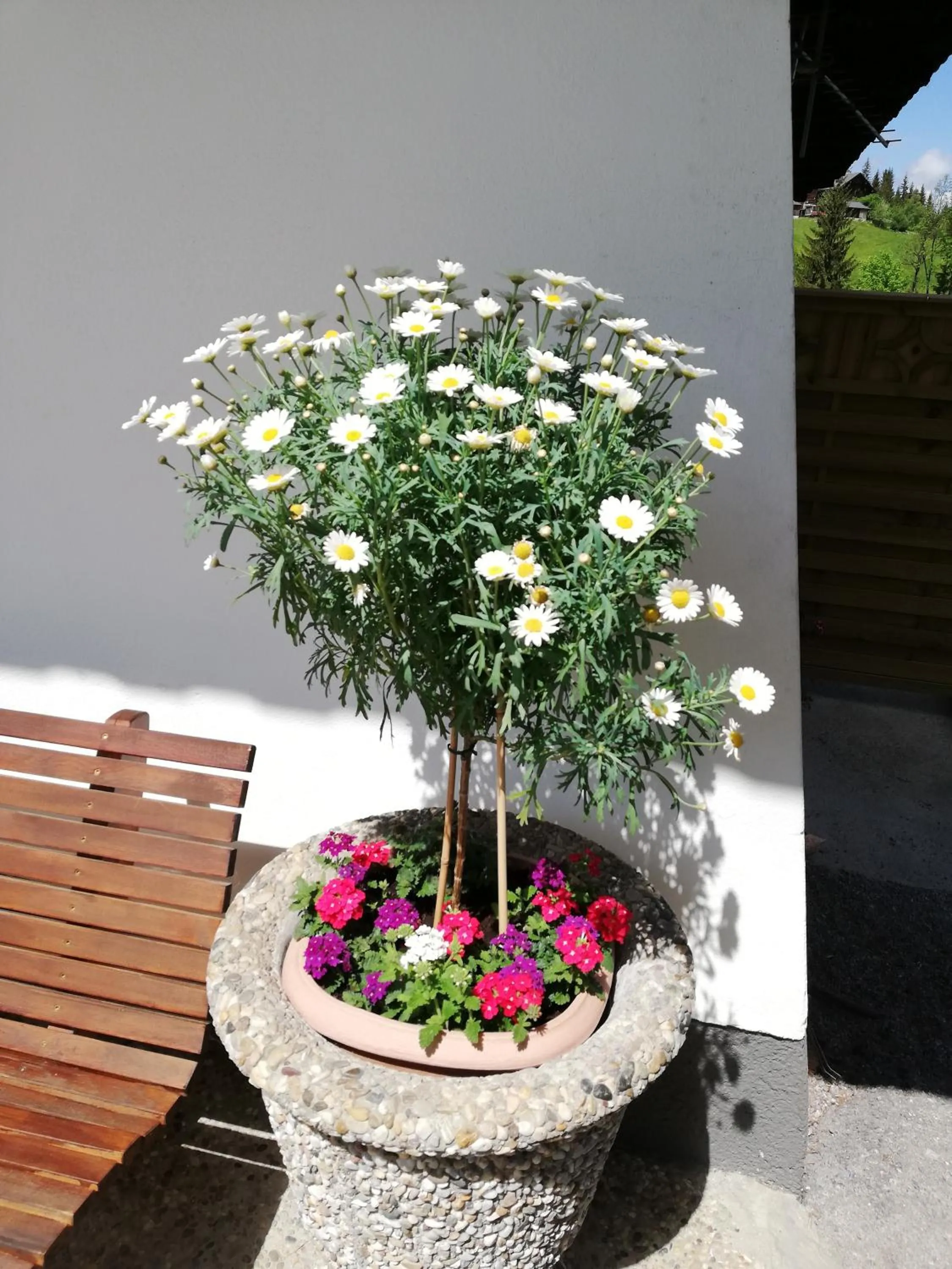 Balcony/Terrace in Vorderwiesgut