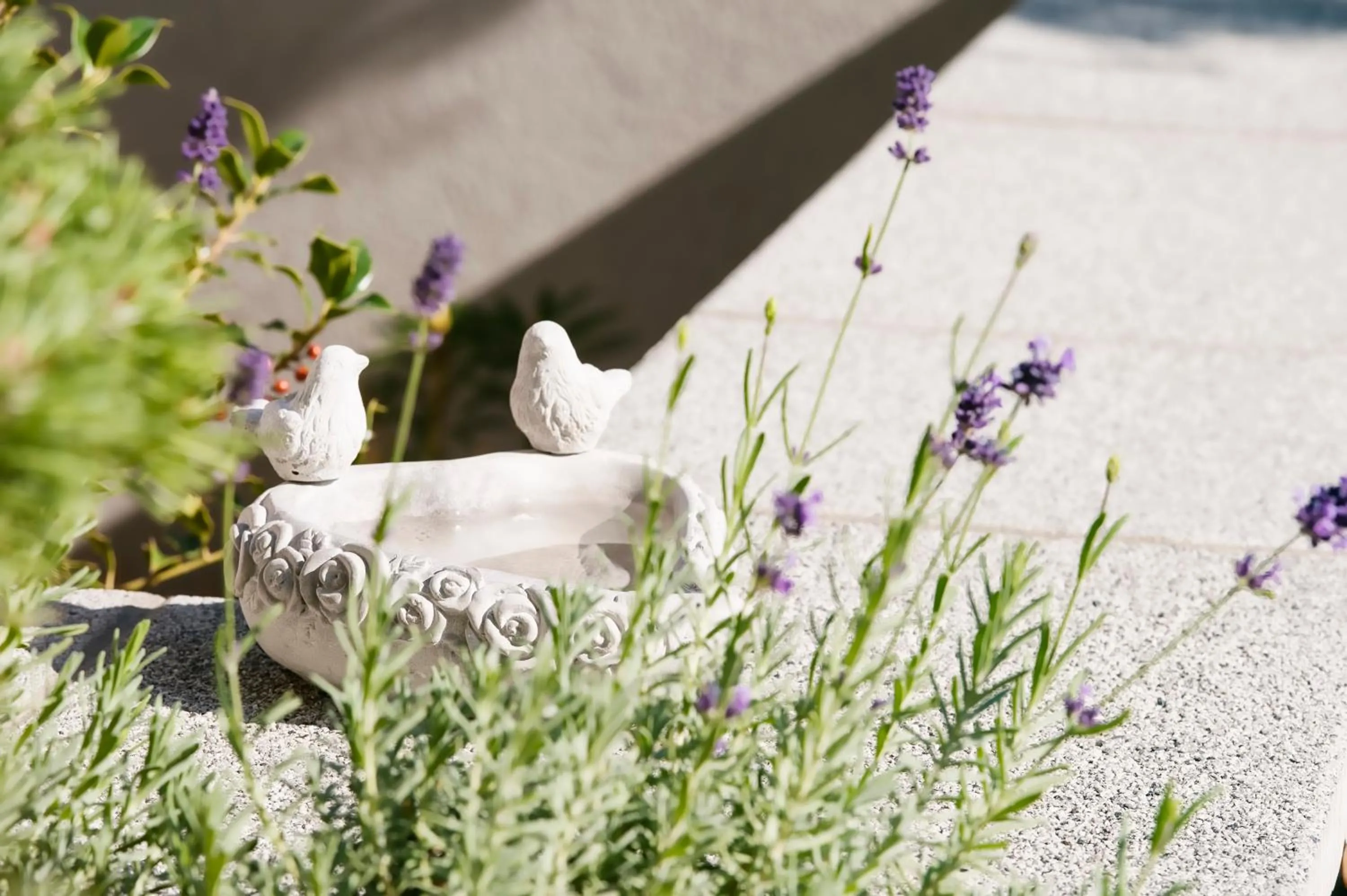 Day in Villa na Vinici