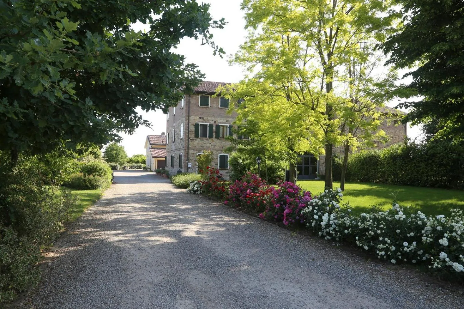Street view in Agriturismo Il Brugnolo