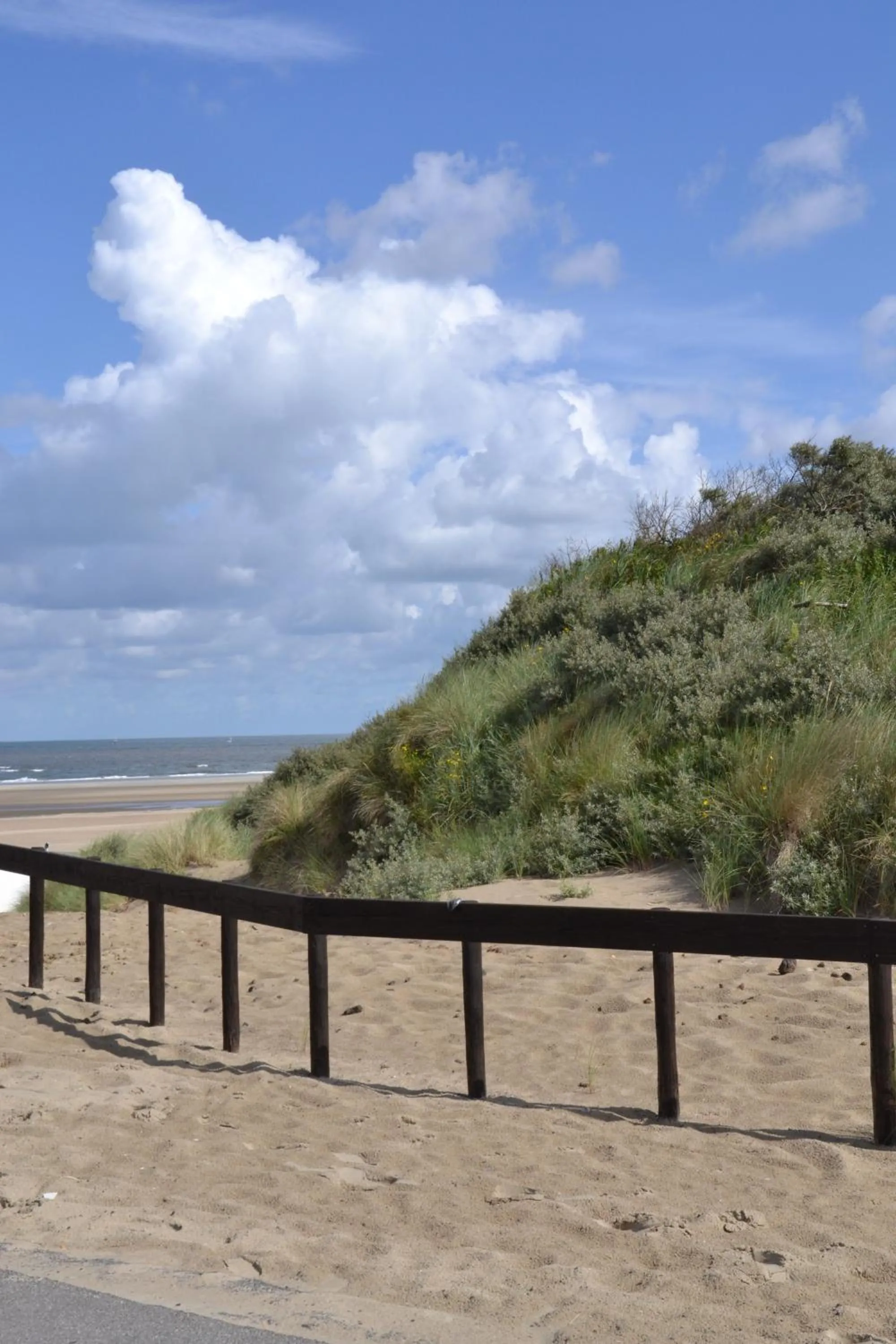 Area and facilities in Fletcher Hotel - Restaurant Nieuwvliet Bad