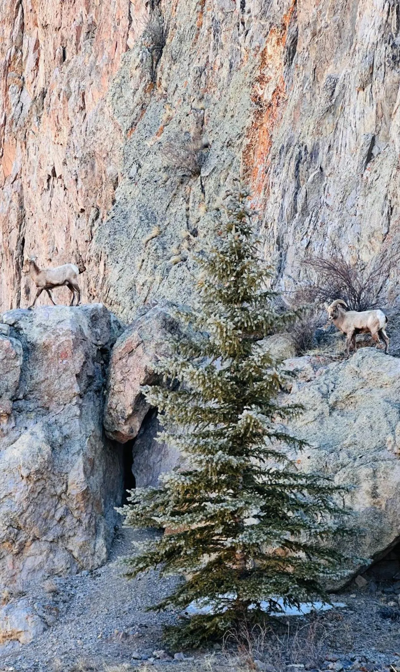 Ute Bluff Lodge, Cabins and RV park