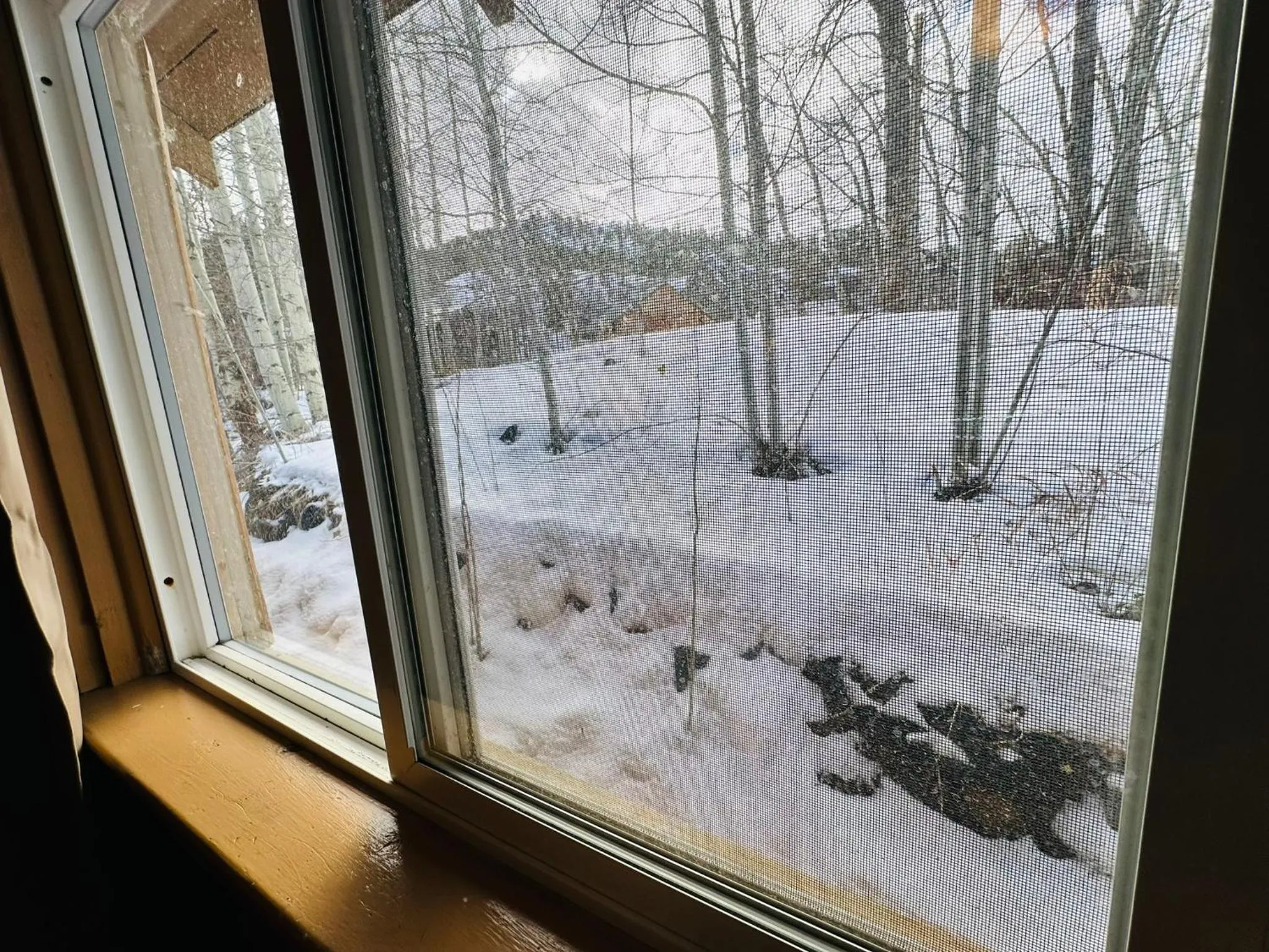 Ute Bluff Lodge, Cabins and RV park