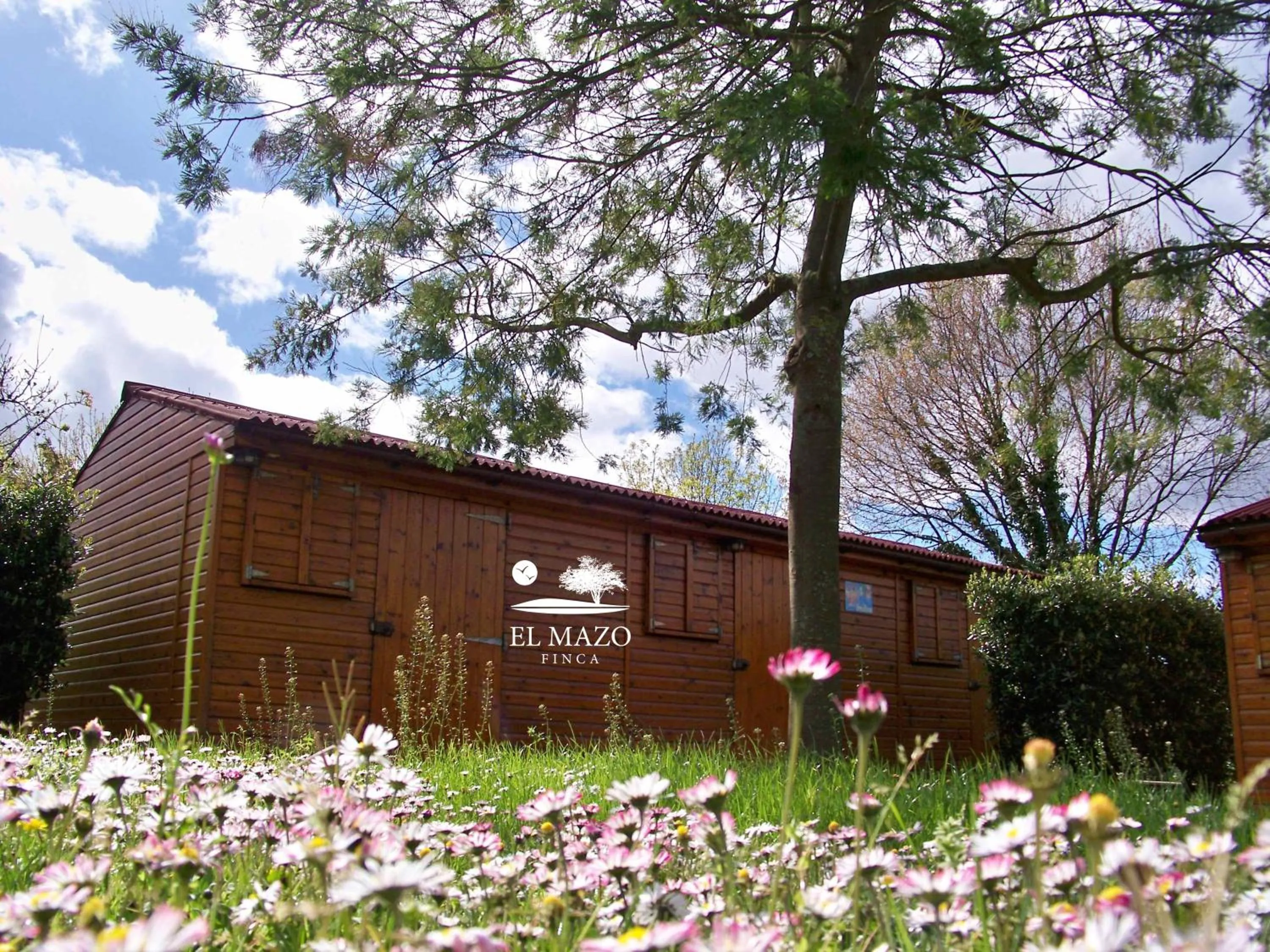 Photo of the whole room in Albergue Finca El Mazo