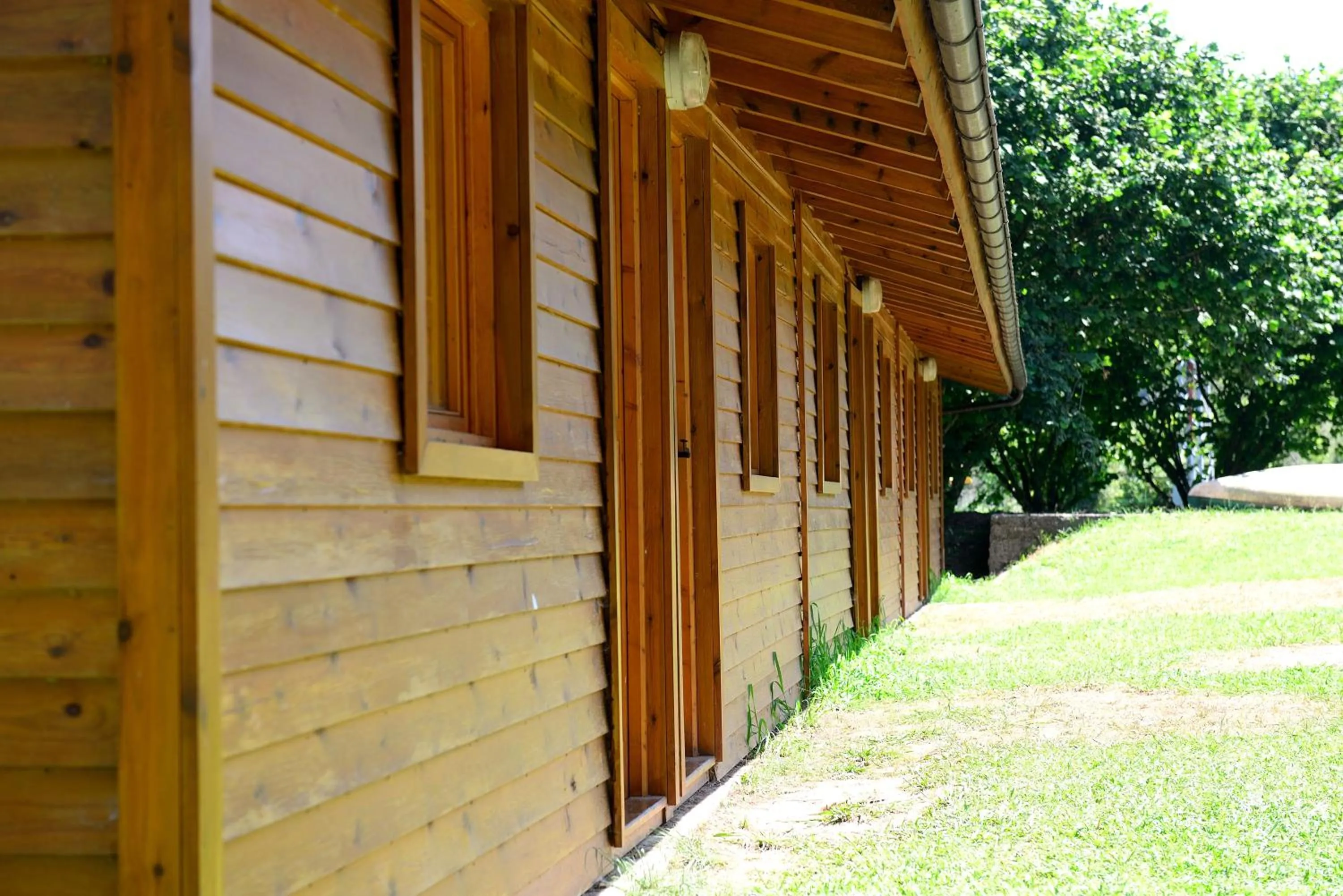 Photo of the whole room in Albergue Finca El Mazo