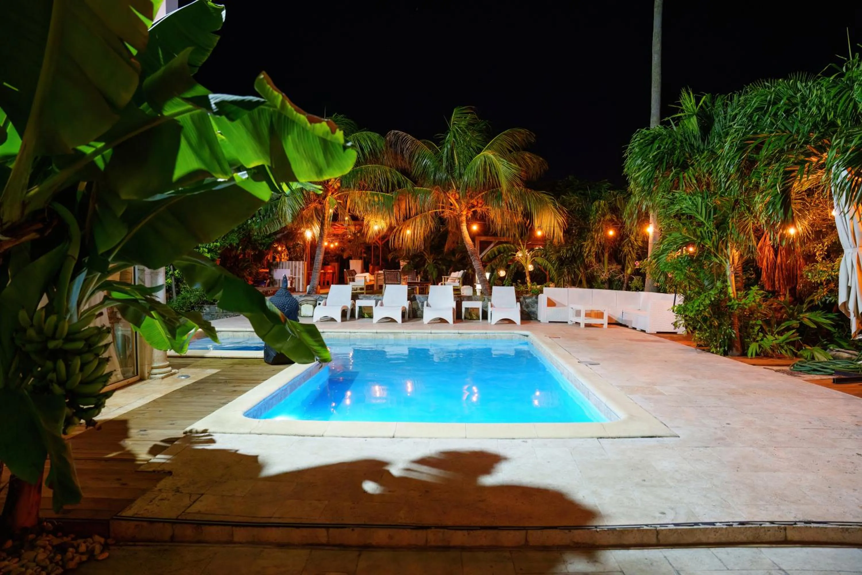 Night in Villa Kapresse du 978 - Guest house