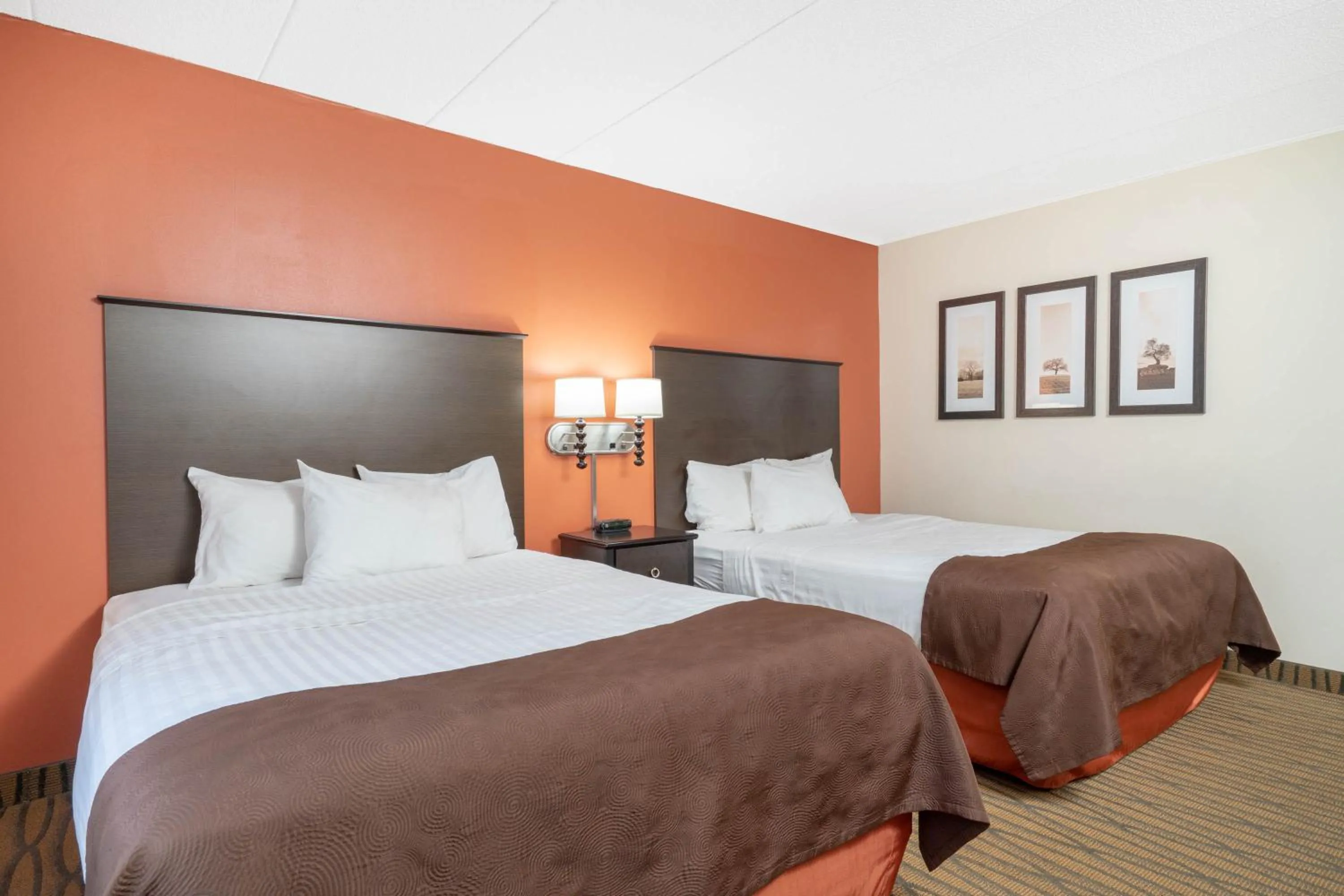 Bedroom, Bed in Aspen Hotel Rogers Formerly Americ inn