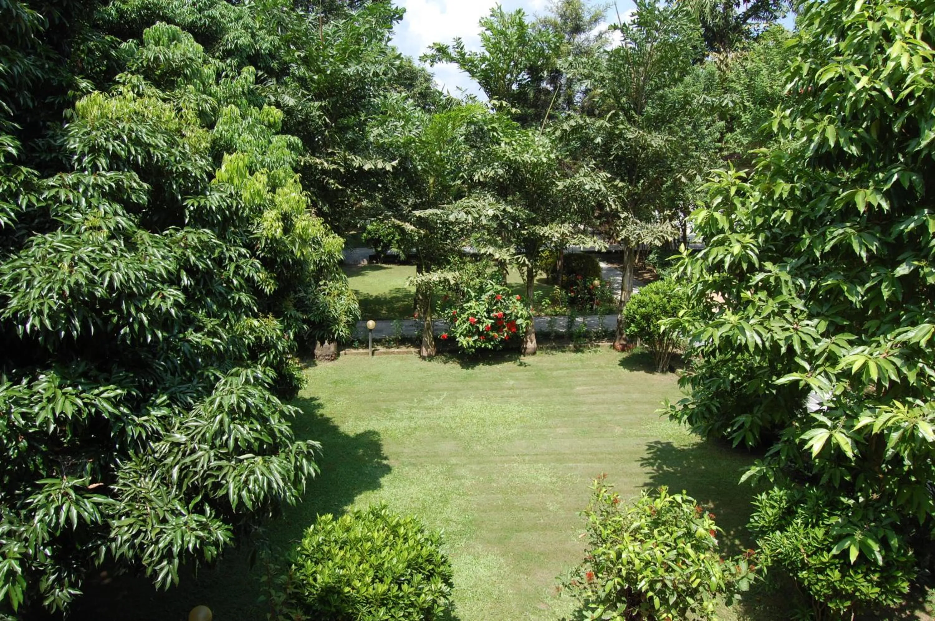 Garden in Hotel Parkland