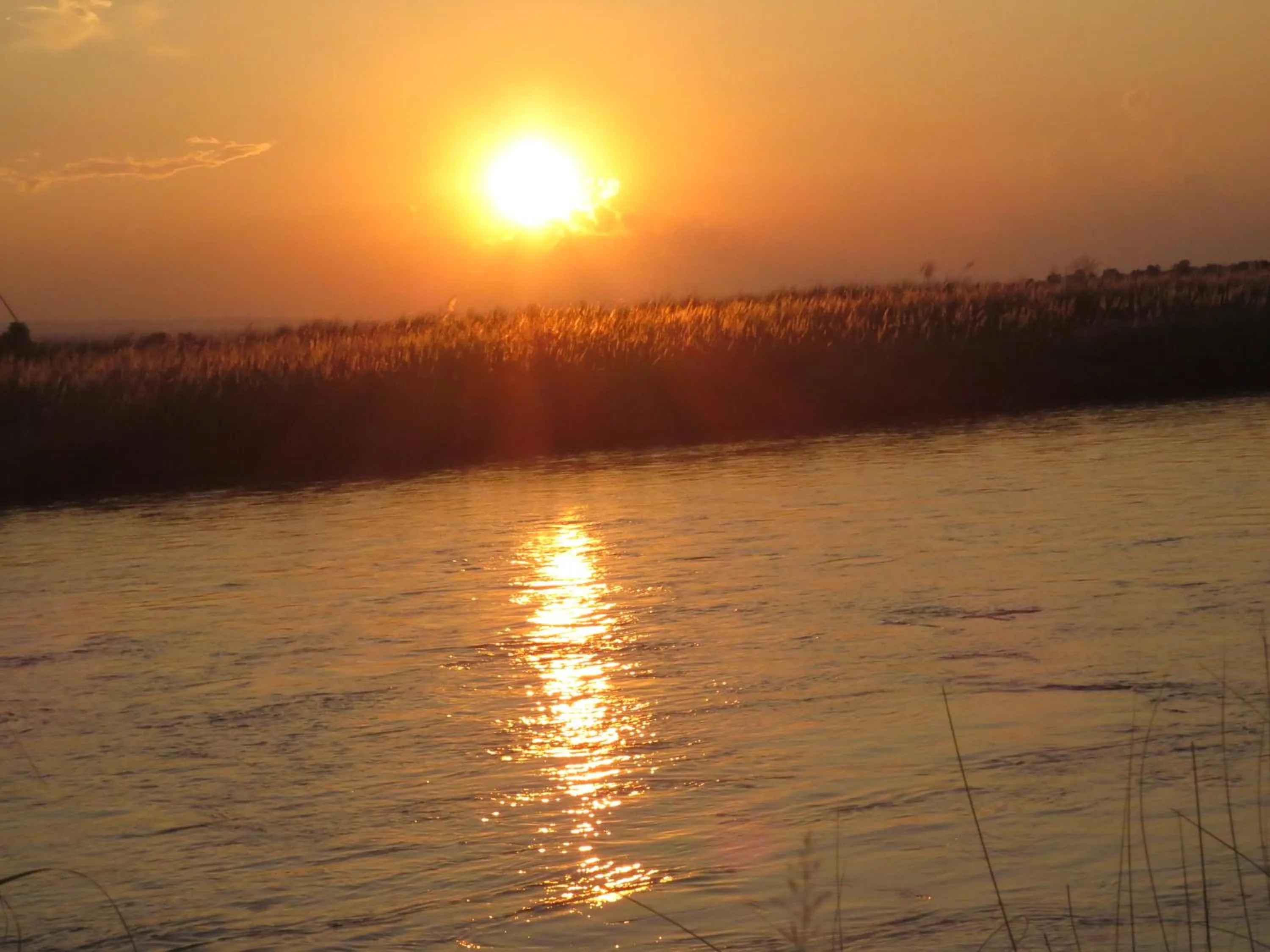 Natural landscape in Hotel Parkland