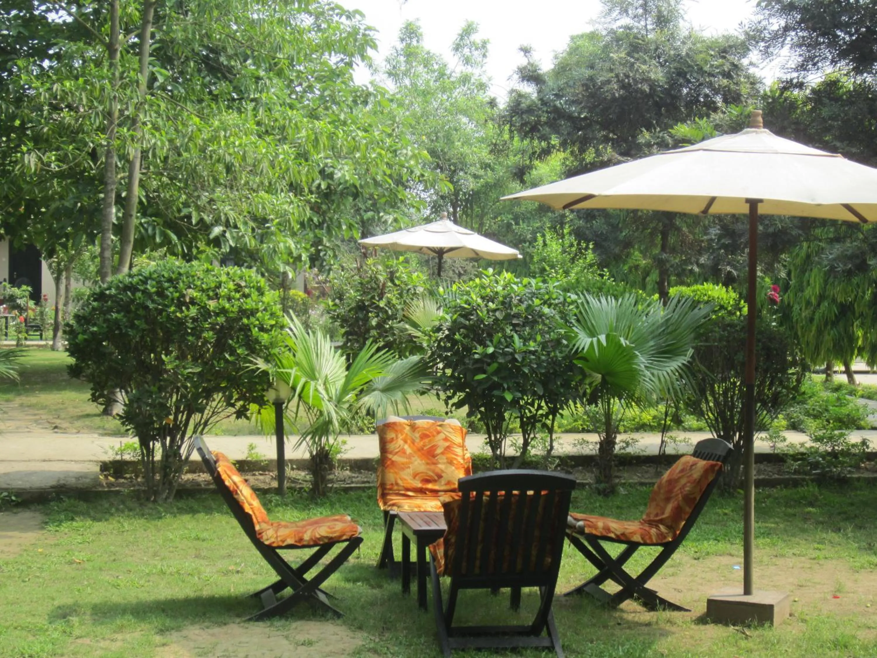 Garden in Hotel Parkland