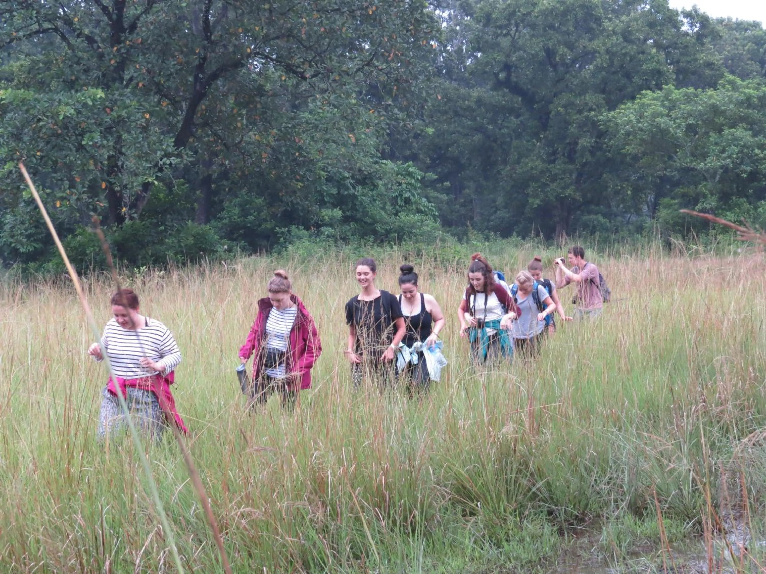 Hiking in Hotel Parkland