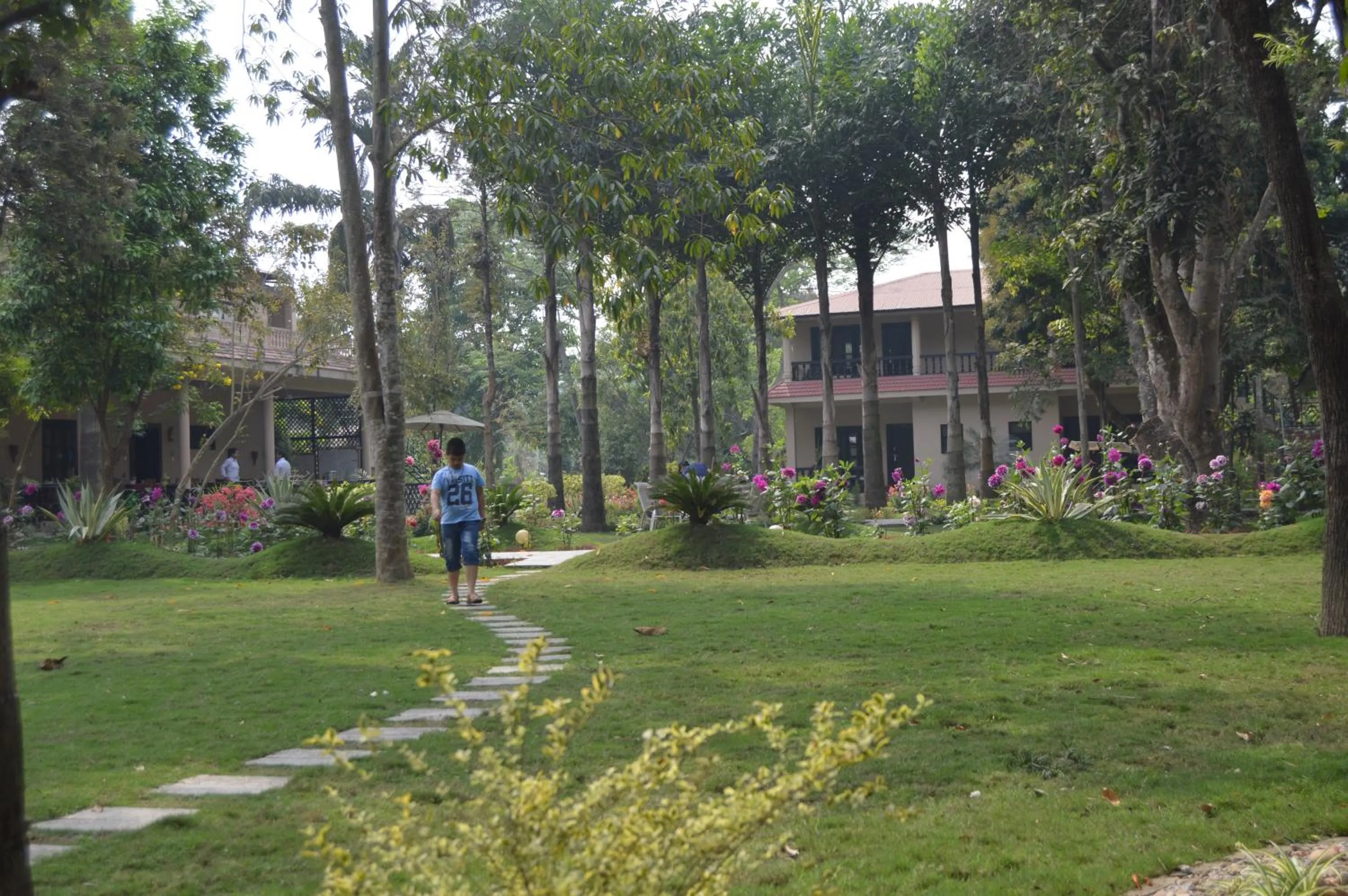 Garden in Hotel Parkland