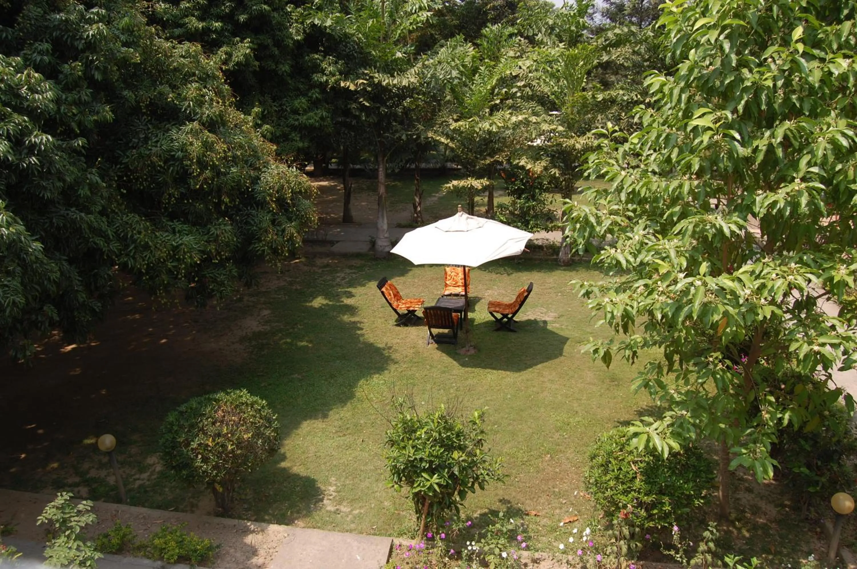 Garden in Hotel Parkland