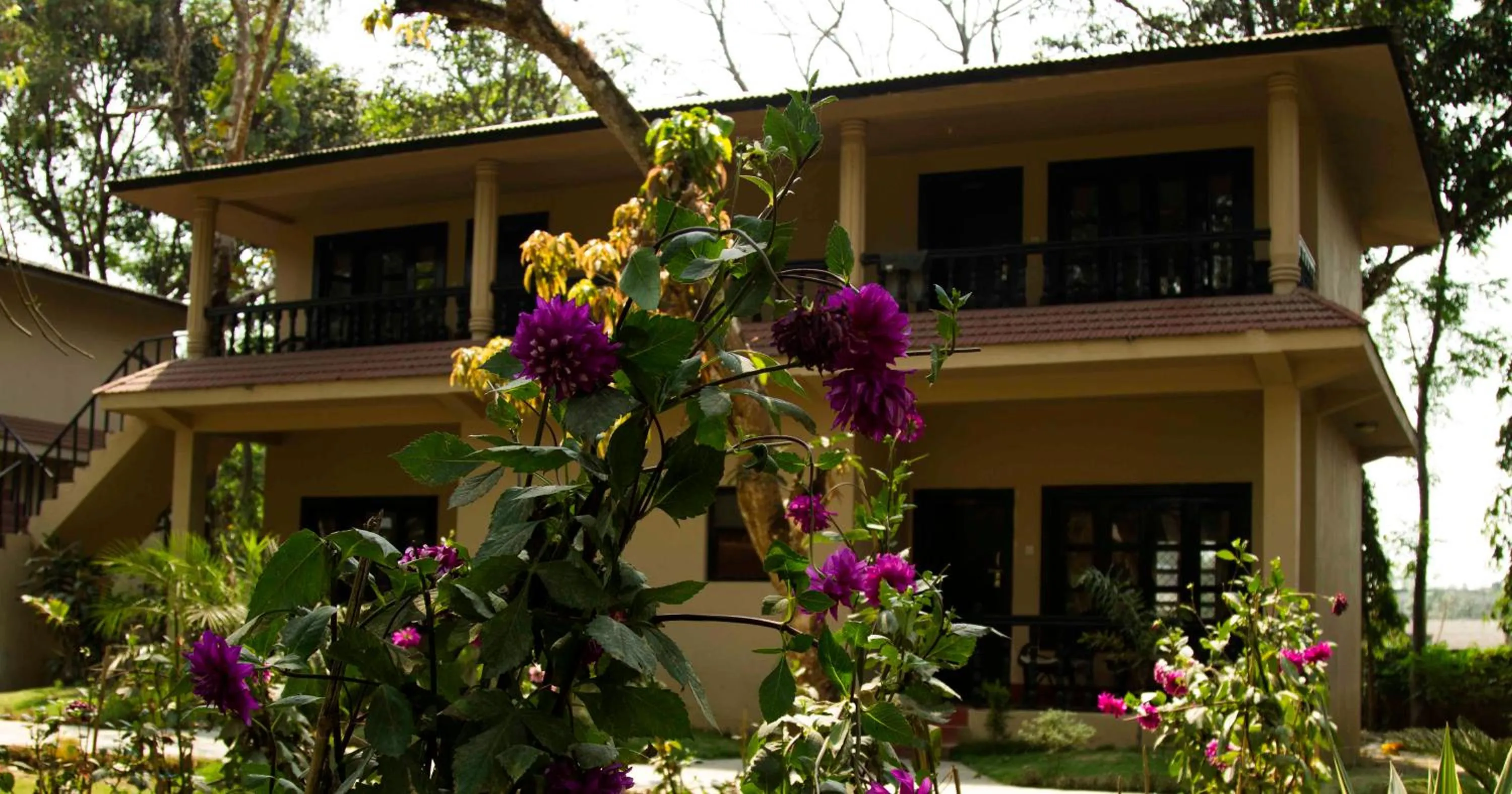 Property building in Hotel Parkland