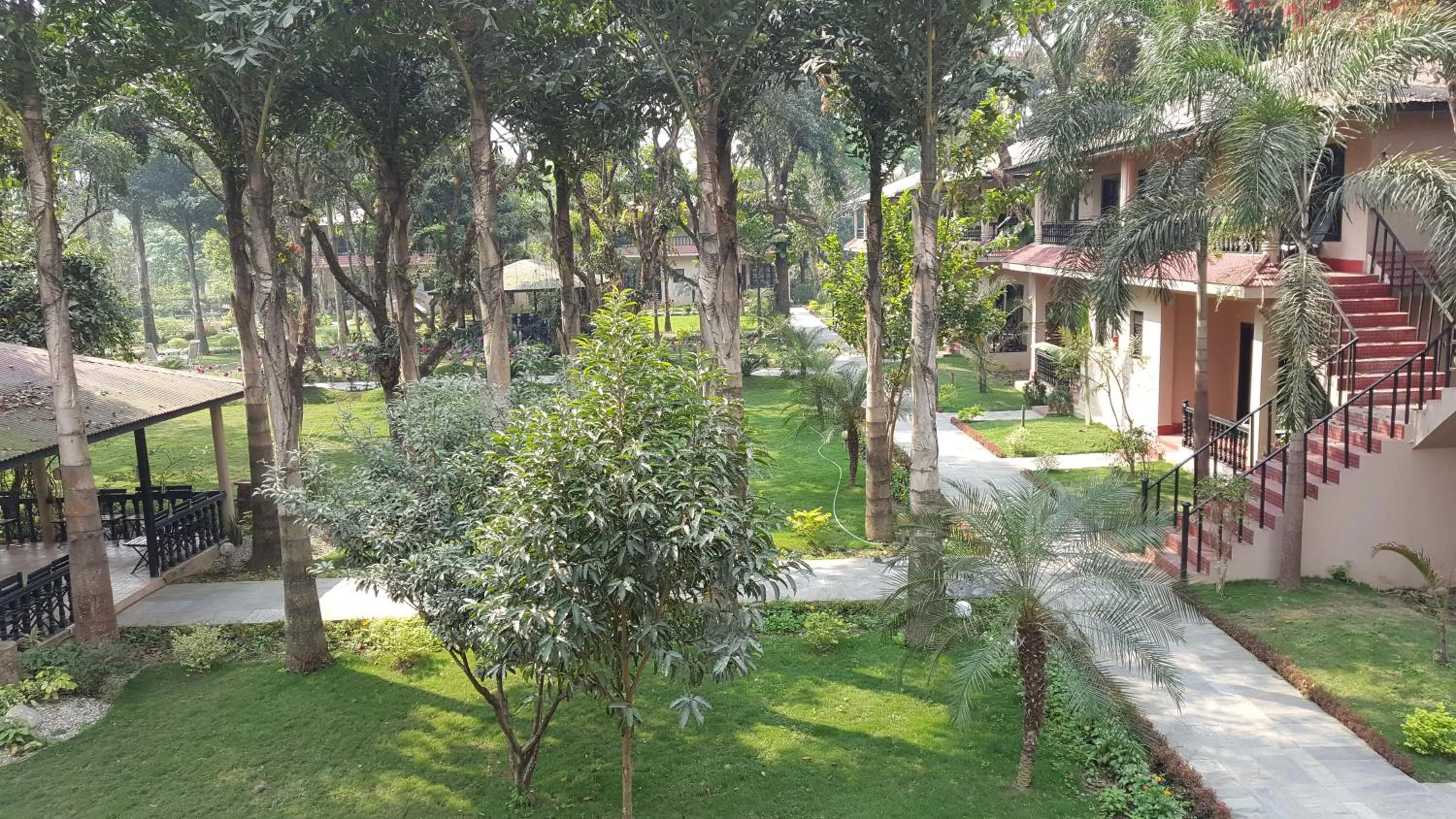 Garden in Hotel Parkland
