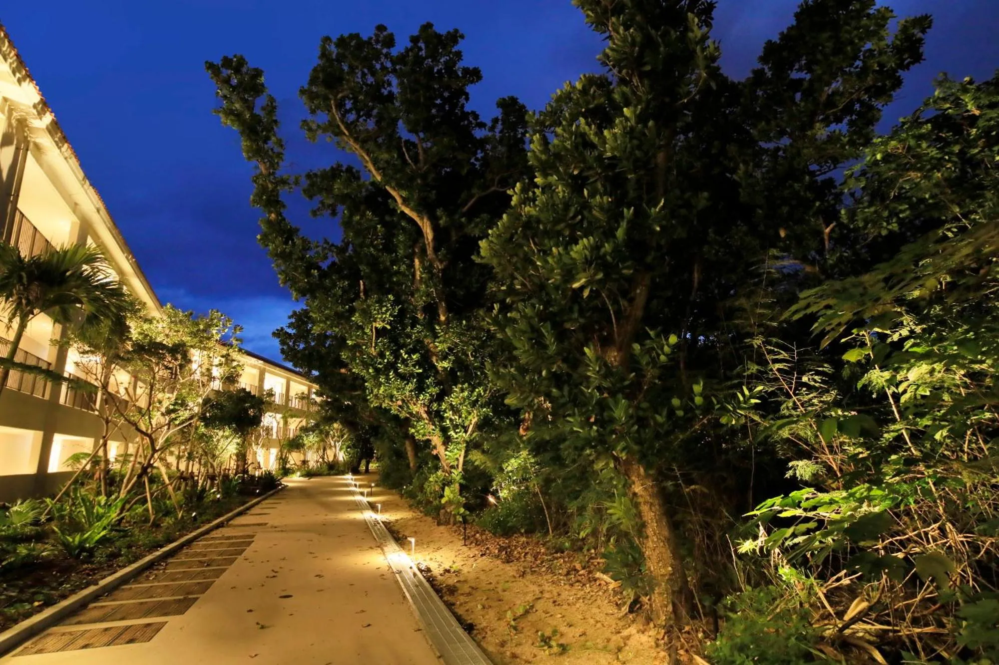 Night in VIVOVIVA石垣島