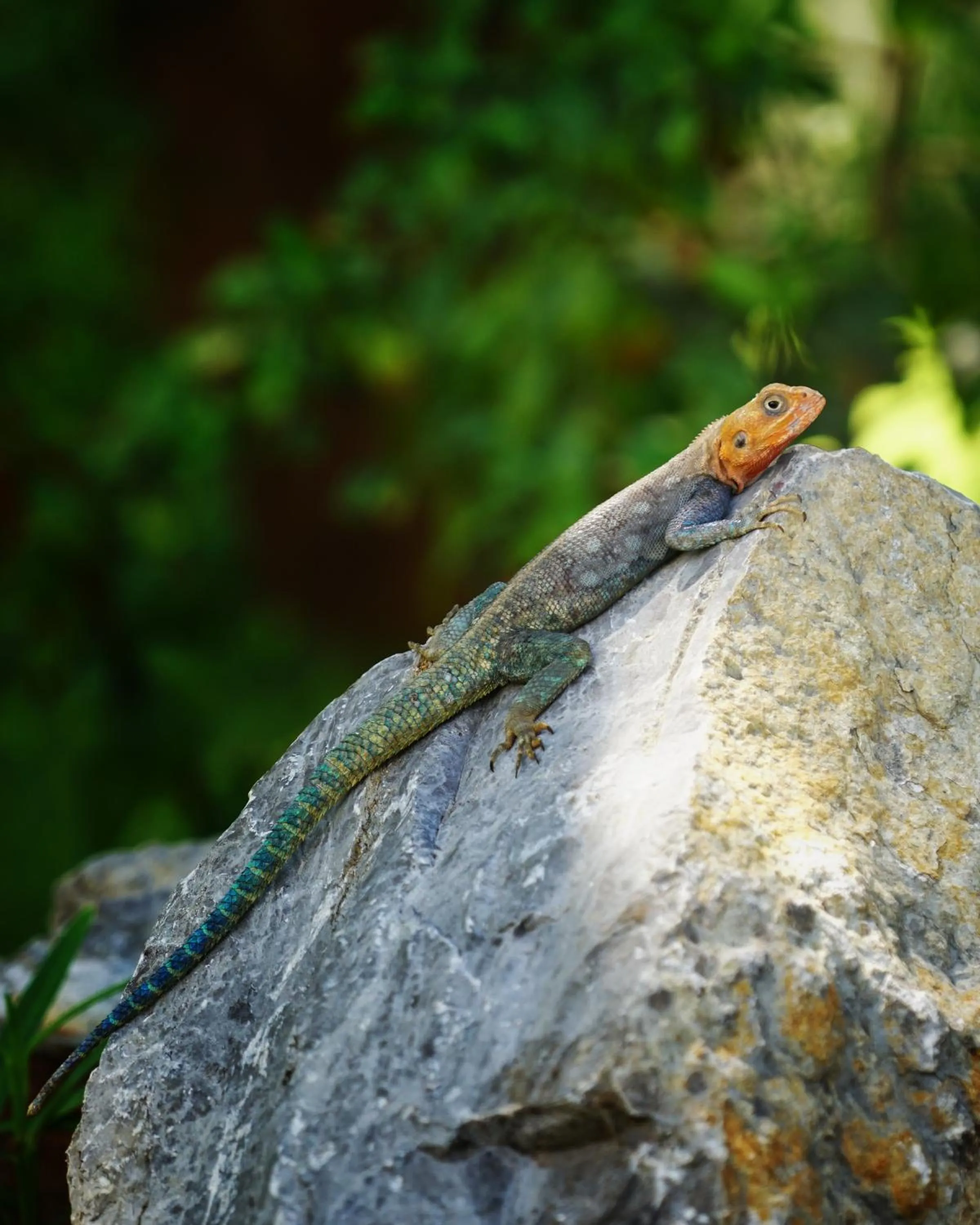 Day in Diani Sea Lodge - All Inclusive
