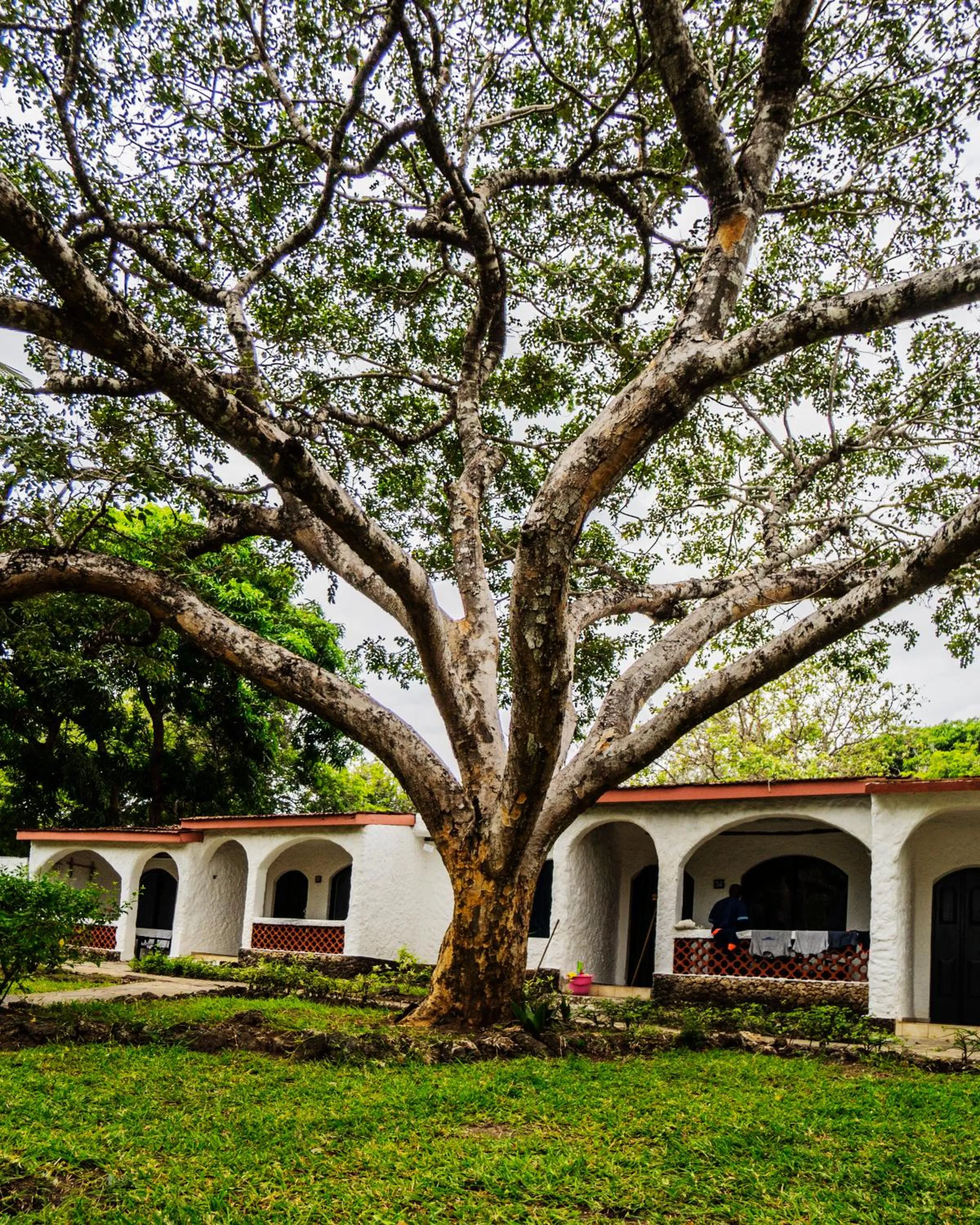 Garden in Diani Sea Lodge - All Inclusive
