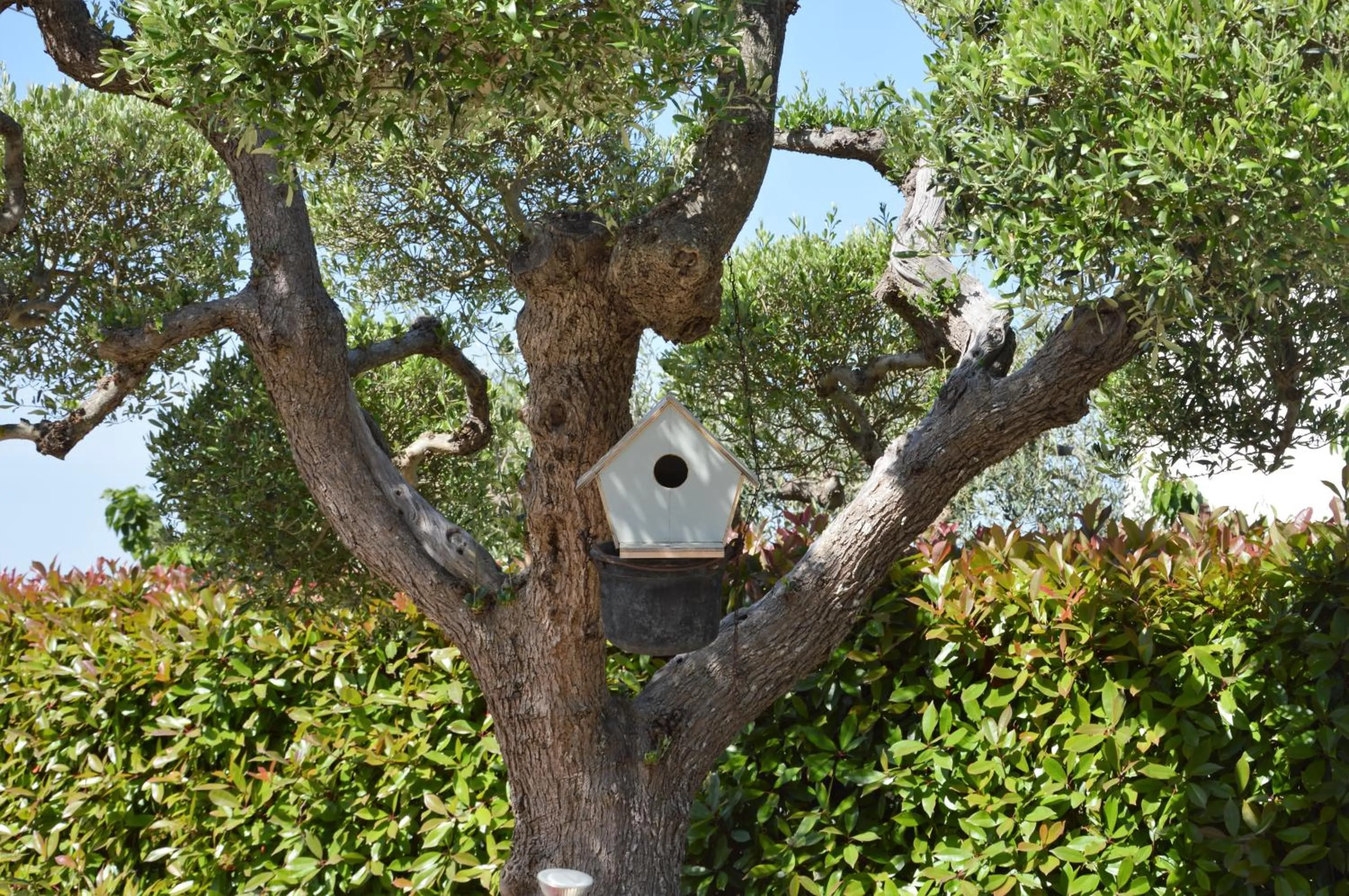 Garden in Casa delle Rondini