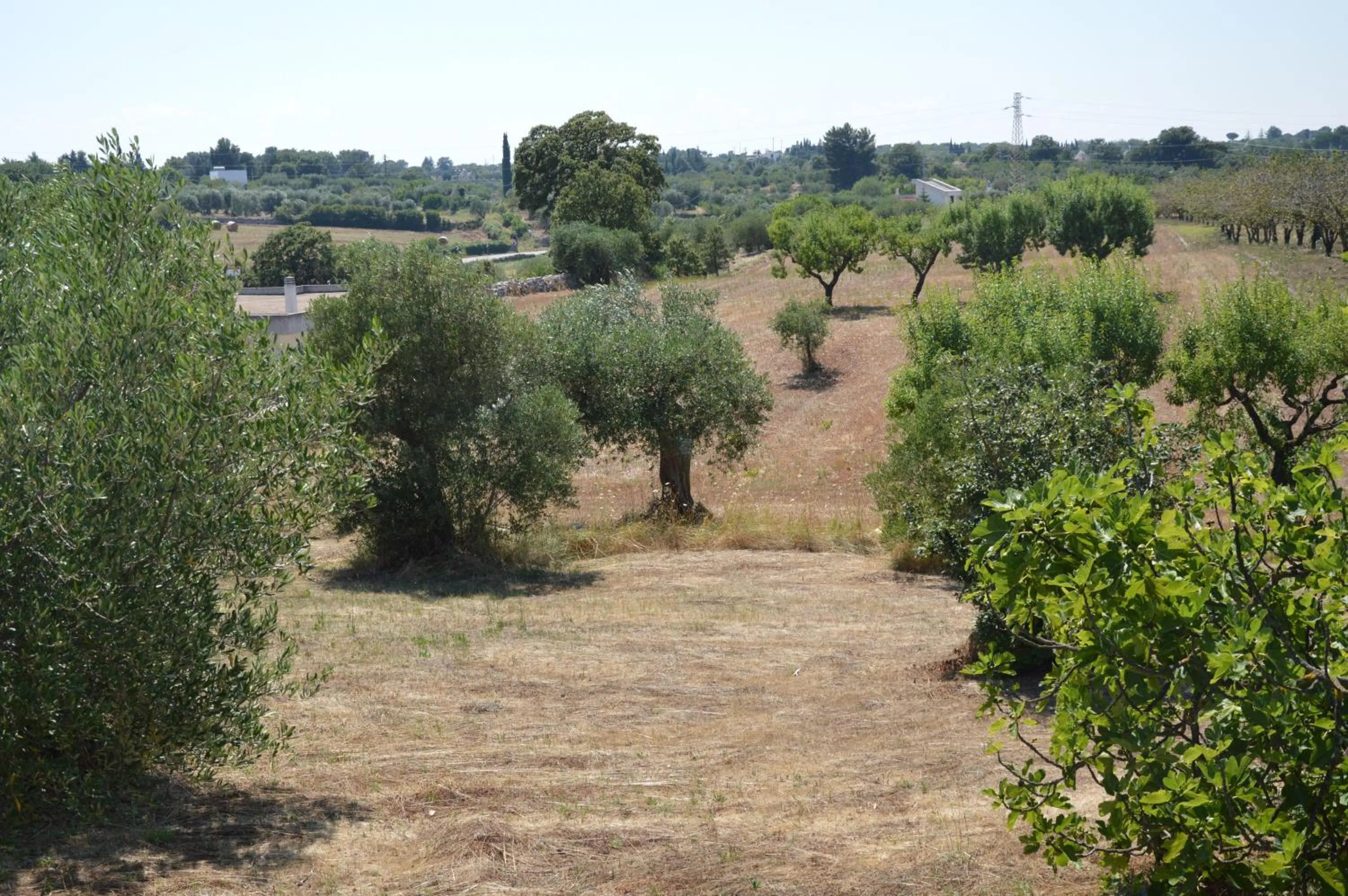 Garden view in Casa delle Rondini