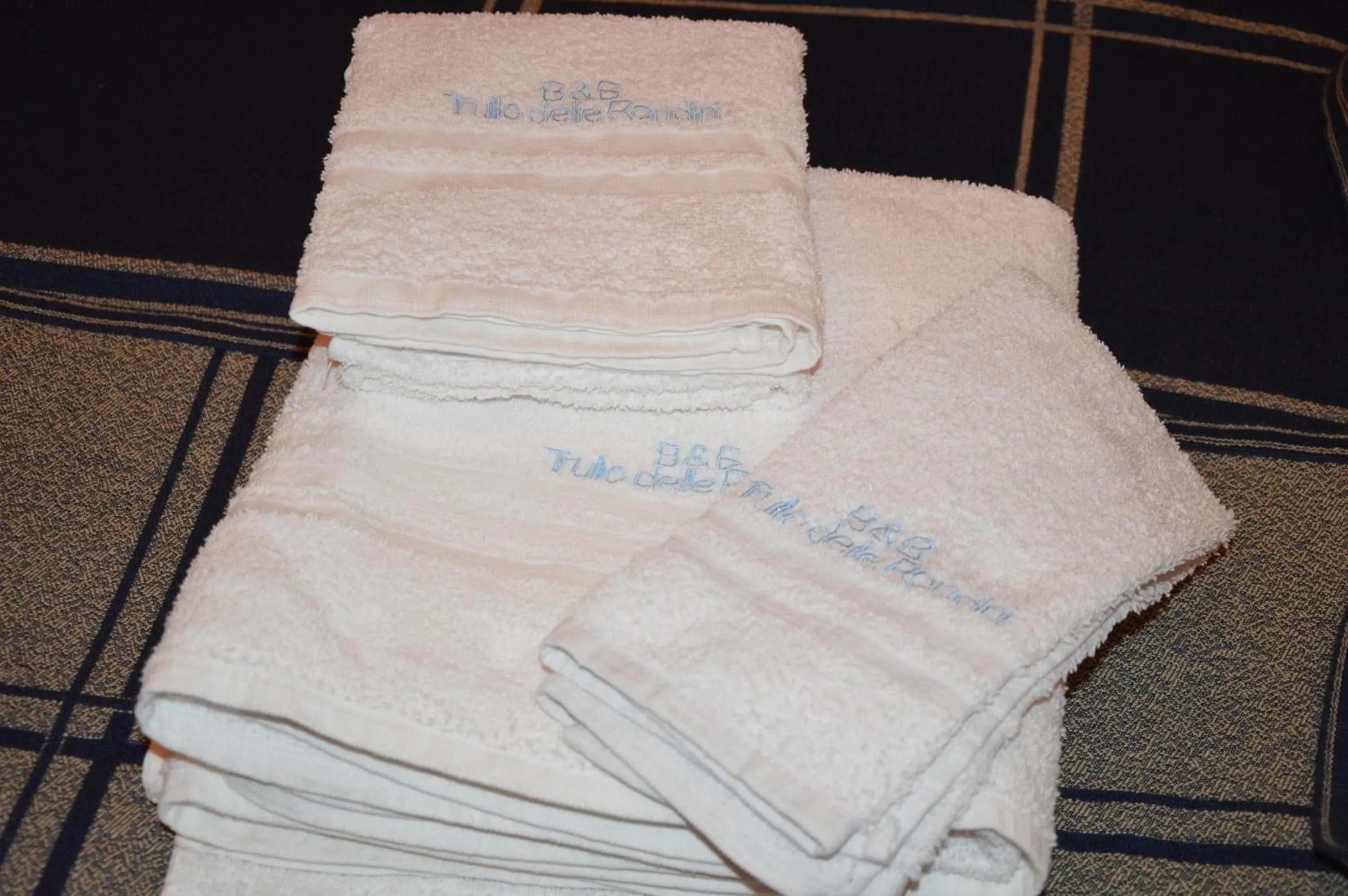 Area and facilities in Casa delle Rondini