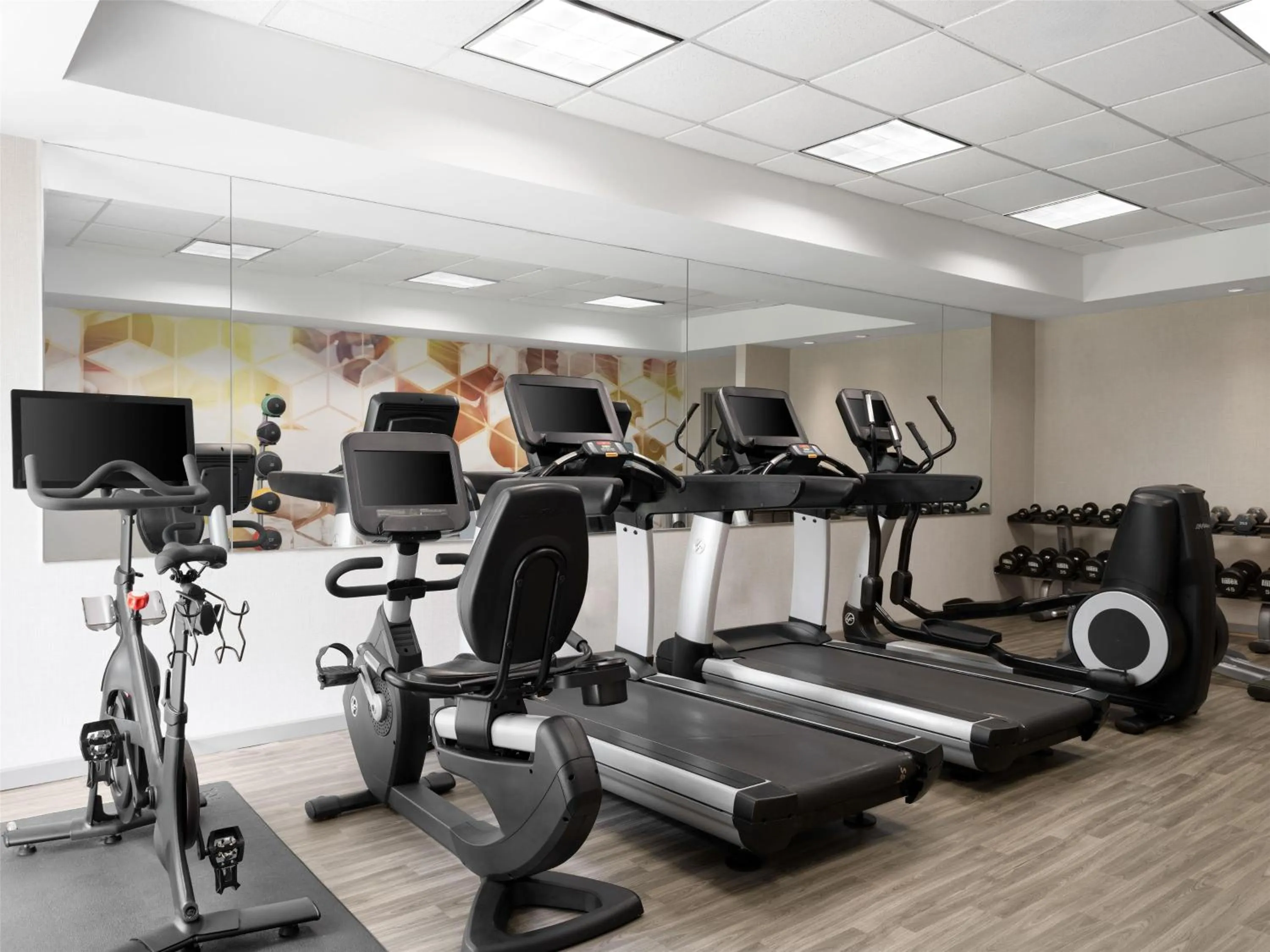 Fitness centre/facilities in Hyatt Place Atlanta Alpharetta North Point Mall