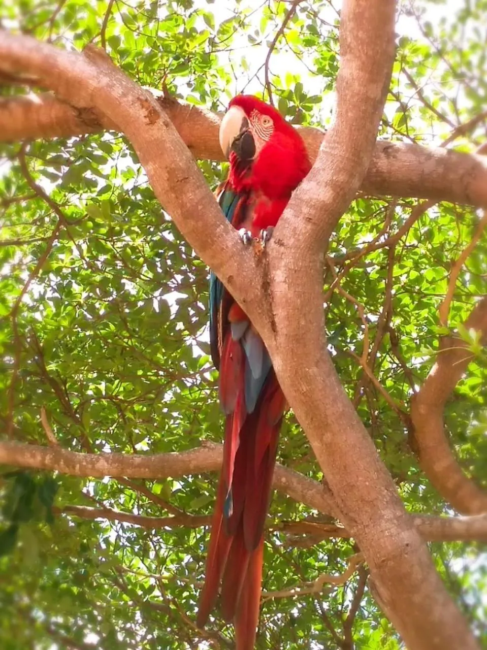 Day in Hotel Pousada Rancho das Dunas