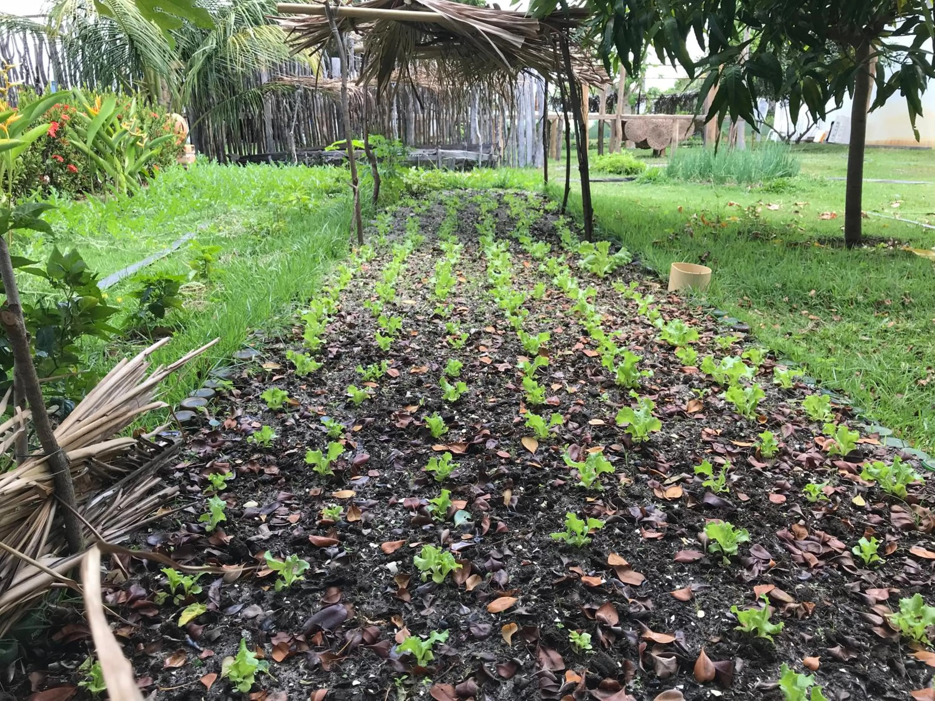 Spring in Hotel Pousada Rancho das Dunas