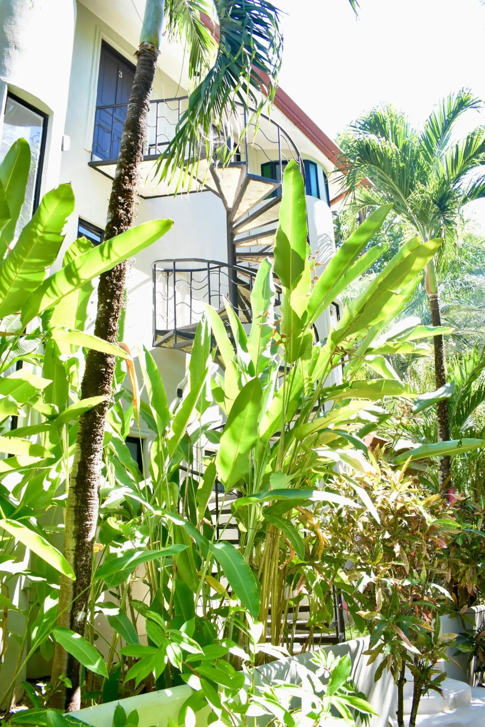 Garden in Fuego Lodge