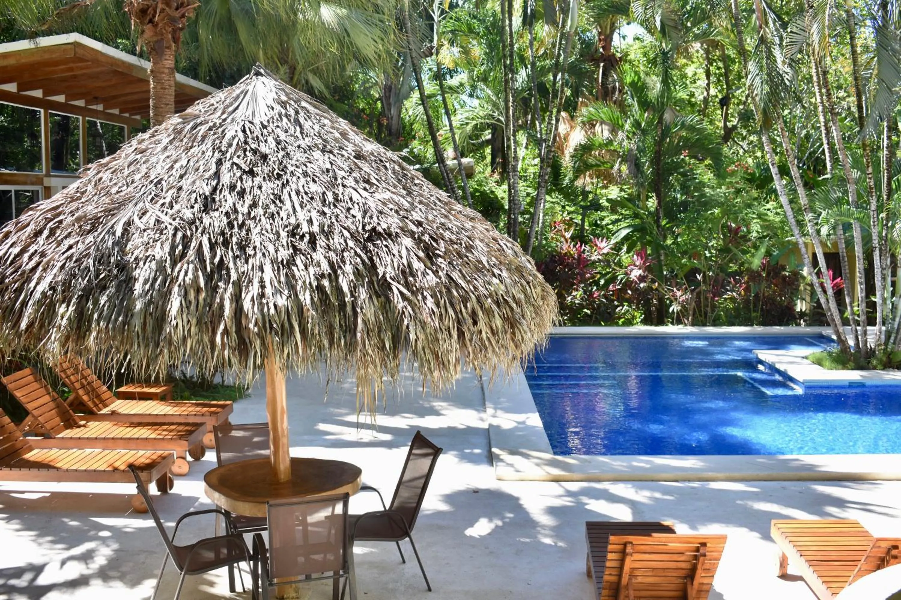 Garden in Fuego Lodge