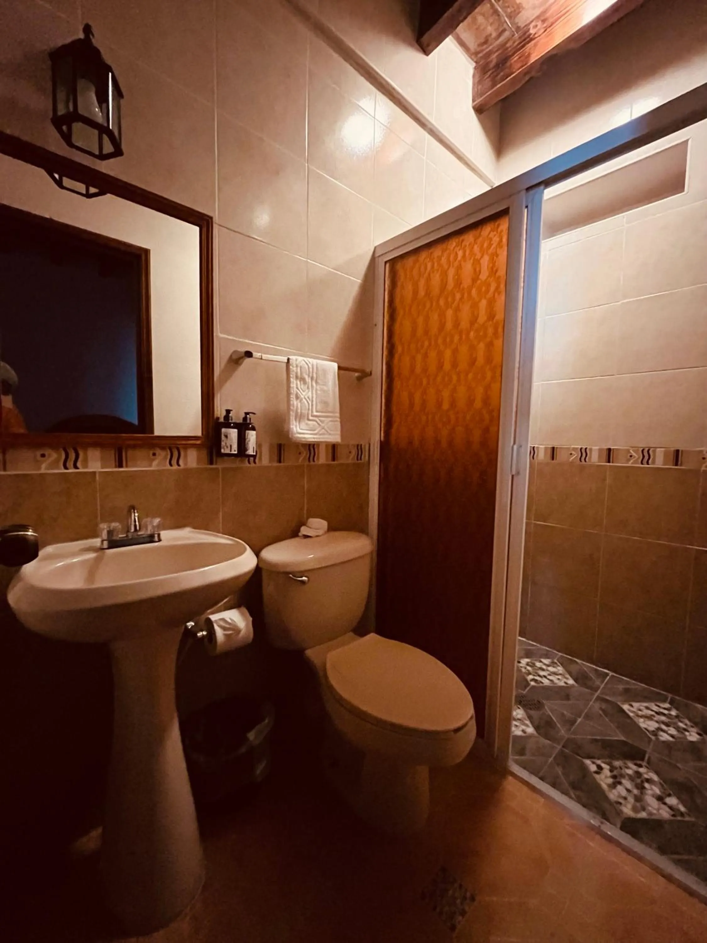 Bathroom in Hotel El Aguila, Villa del Carbón