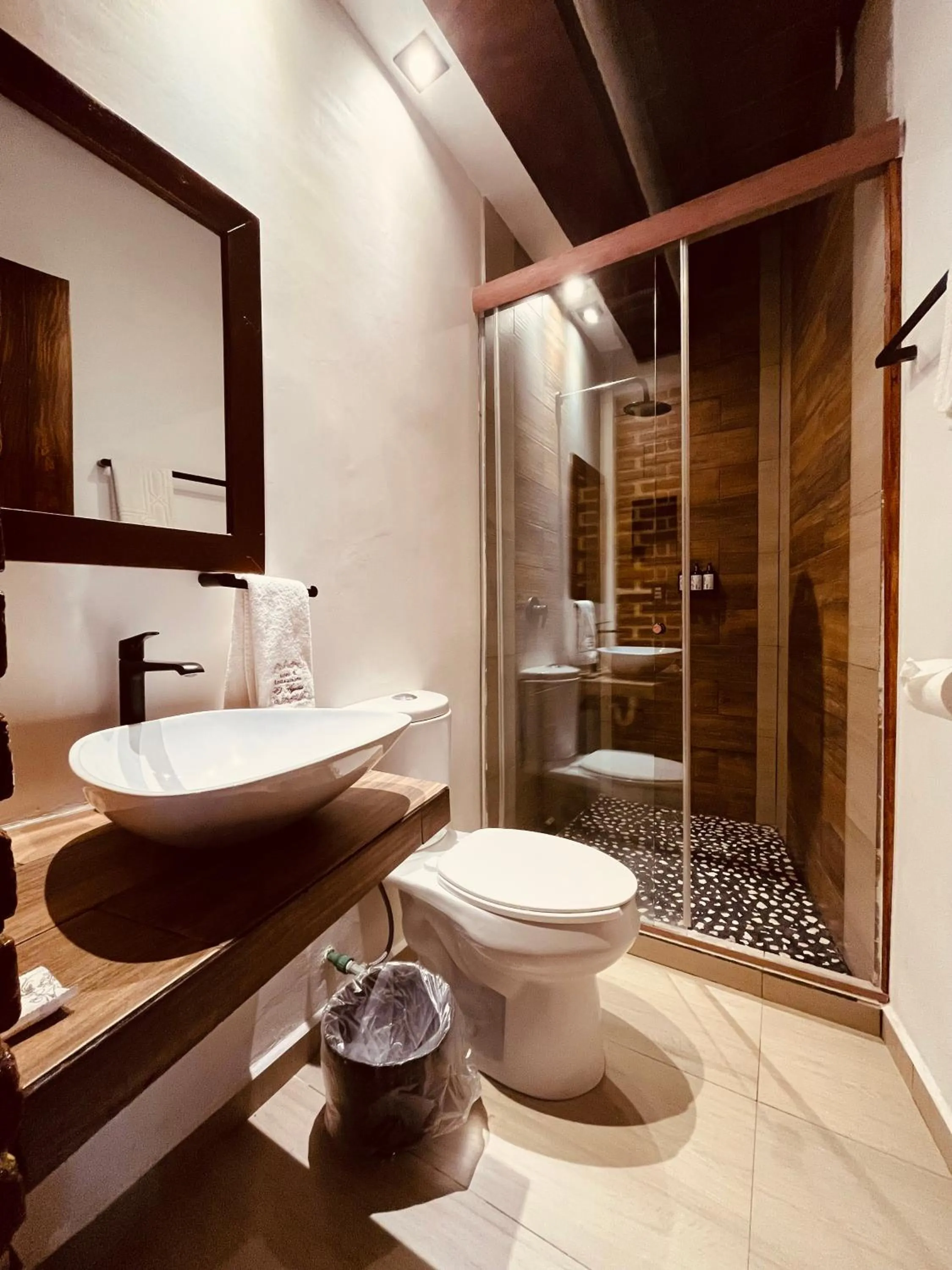 Bathroom in Hotel El Aguila, Villa del Carbón