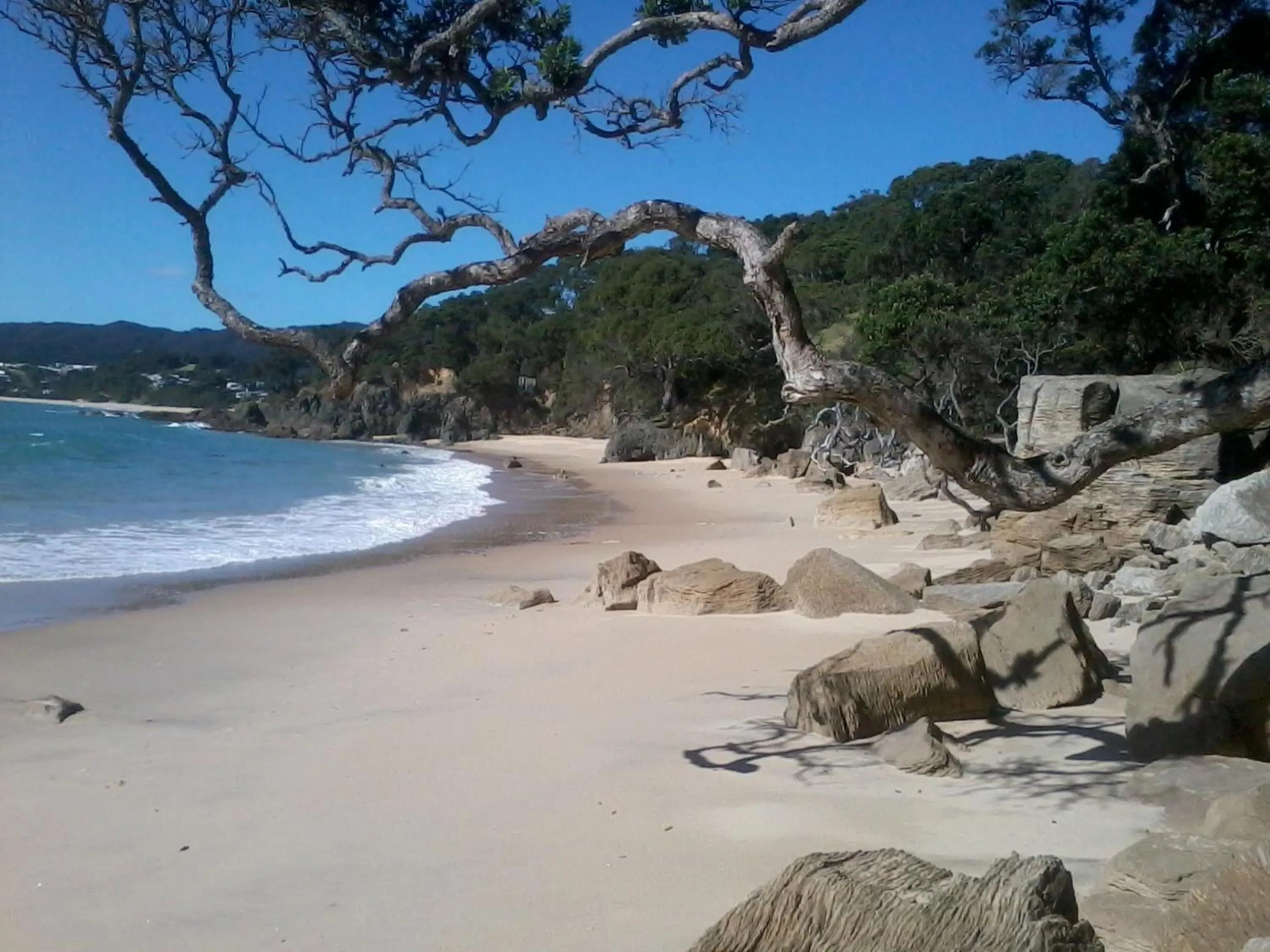 Country Homestead at Black Sheep Farm