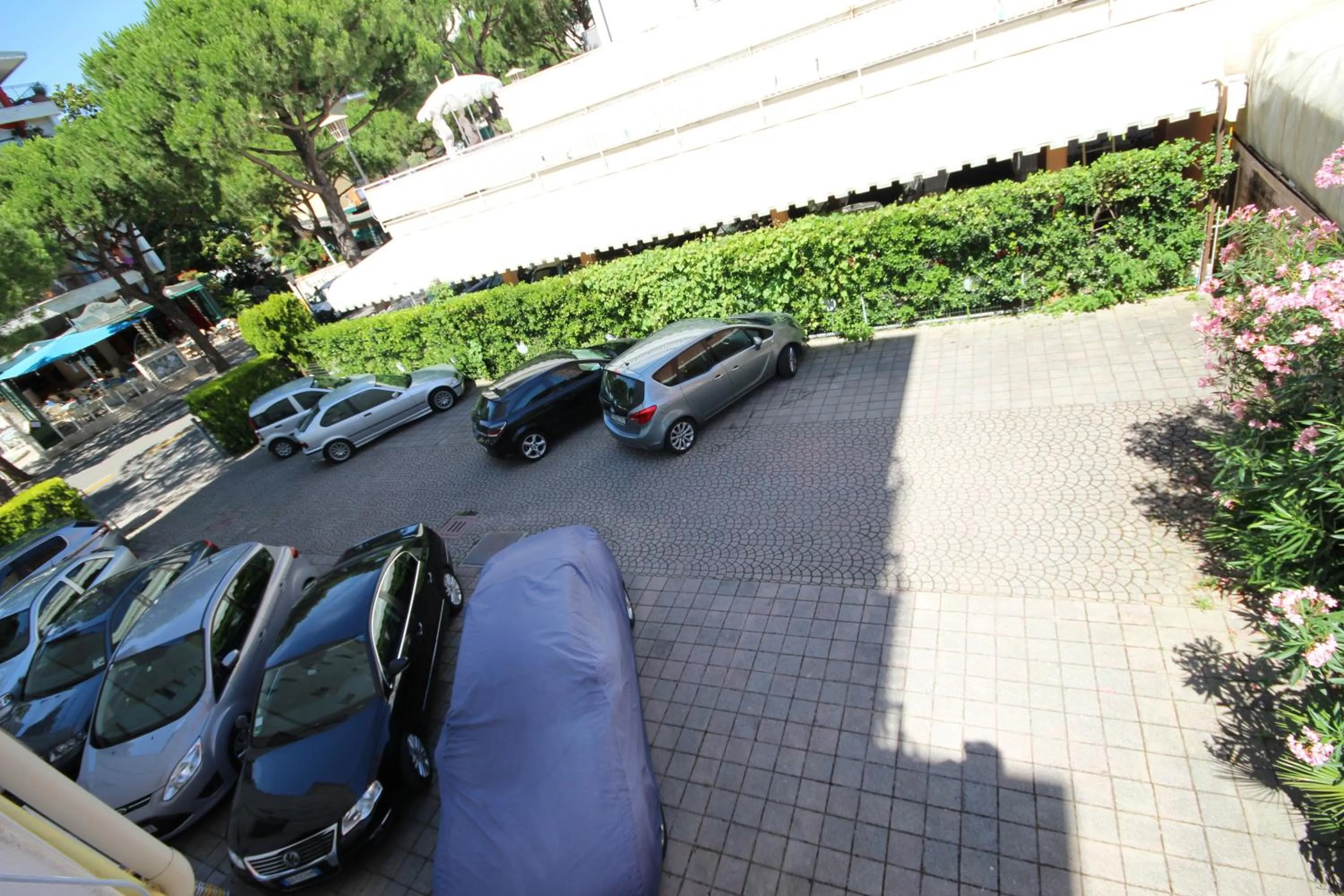 Area and facilities in Hotel Roma