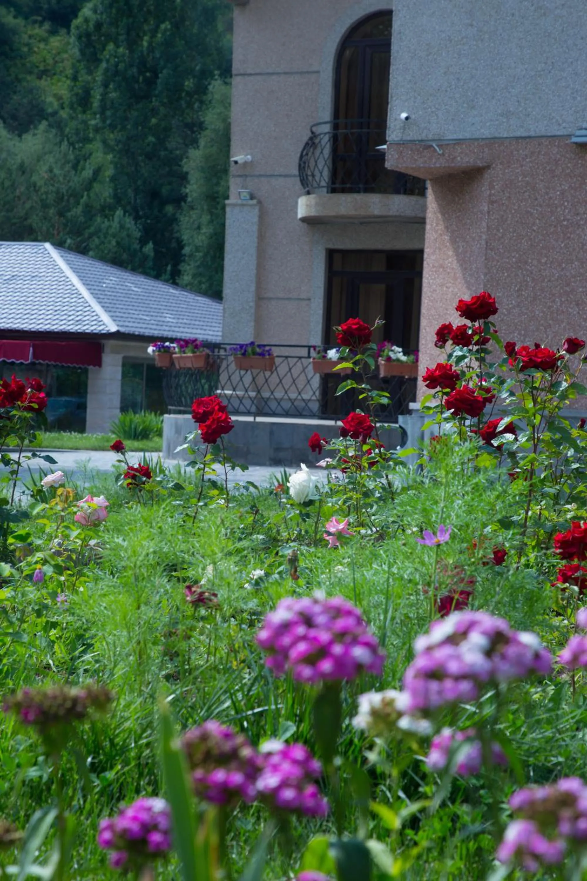 Area and facilities in Jermuk Verona Resort