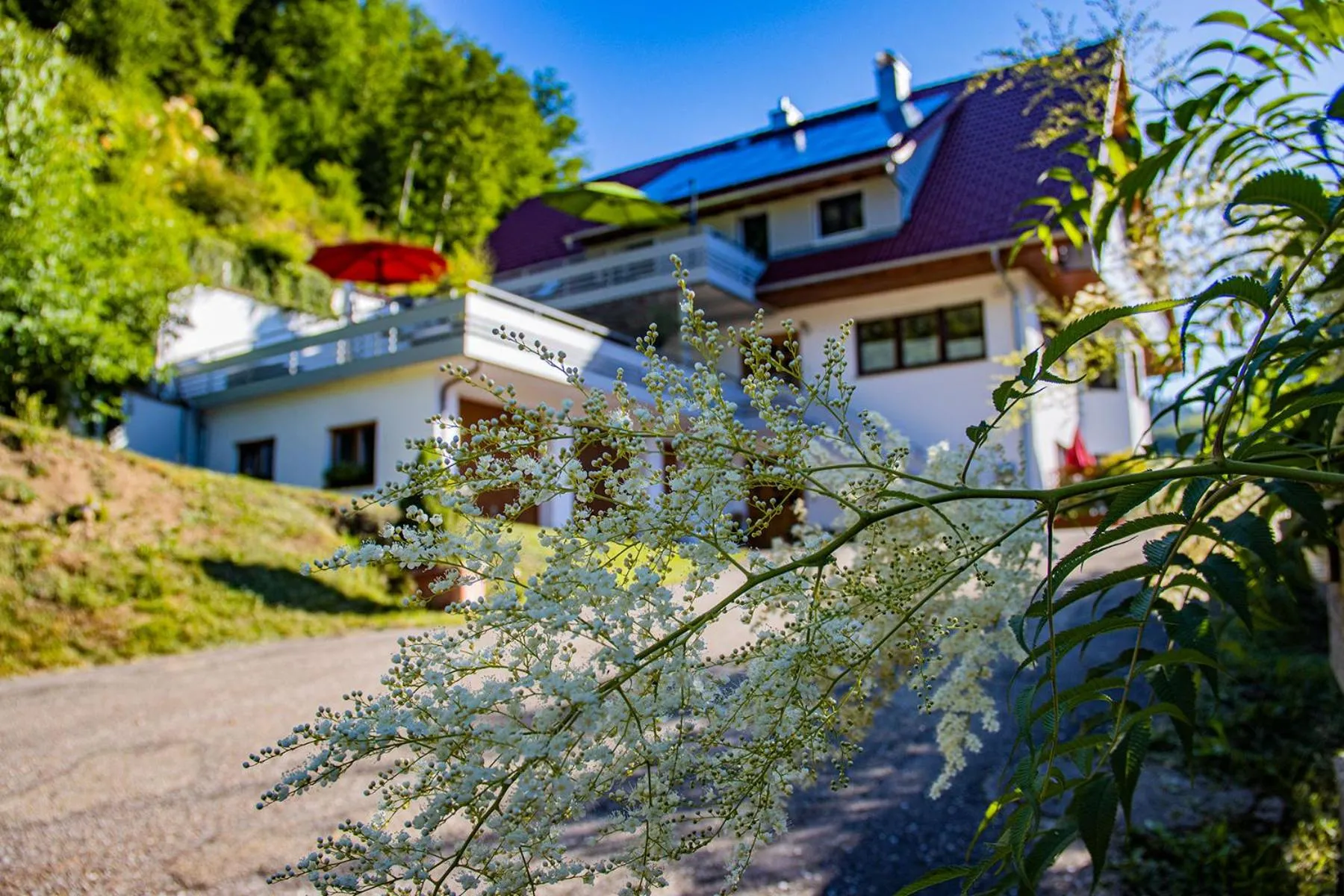 Property building in Haus Niedermättle