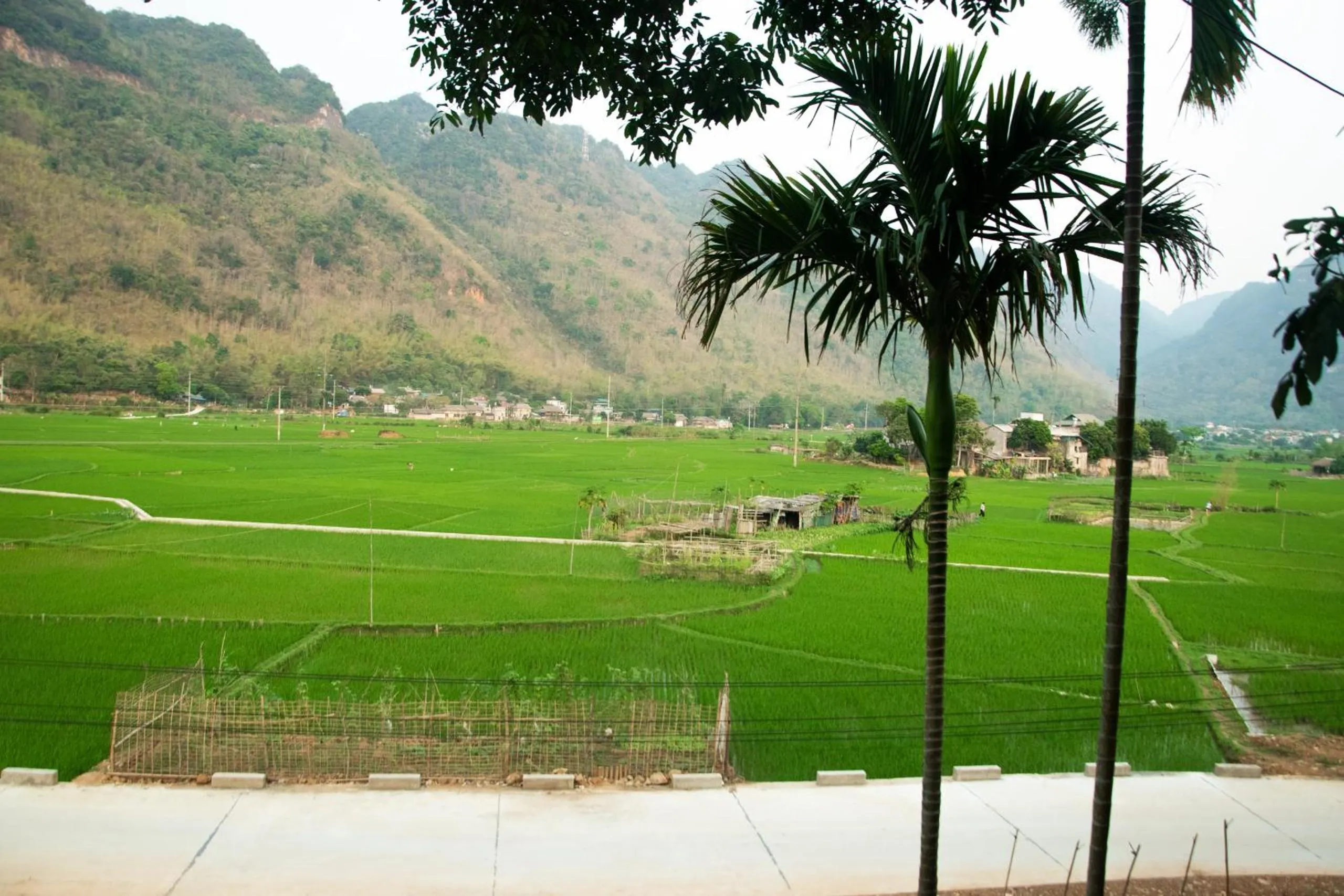Natural landscape in Mai Chau La Vida Homestay